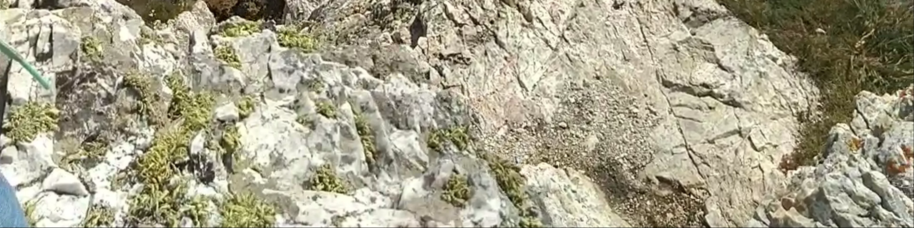Pen Hir Point