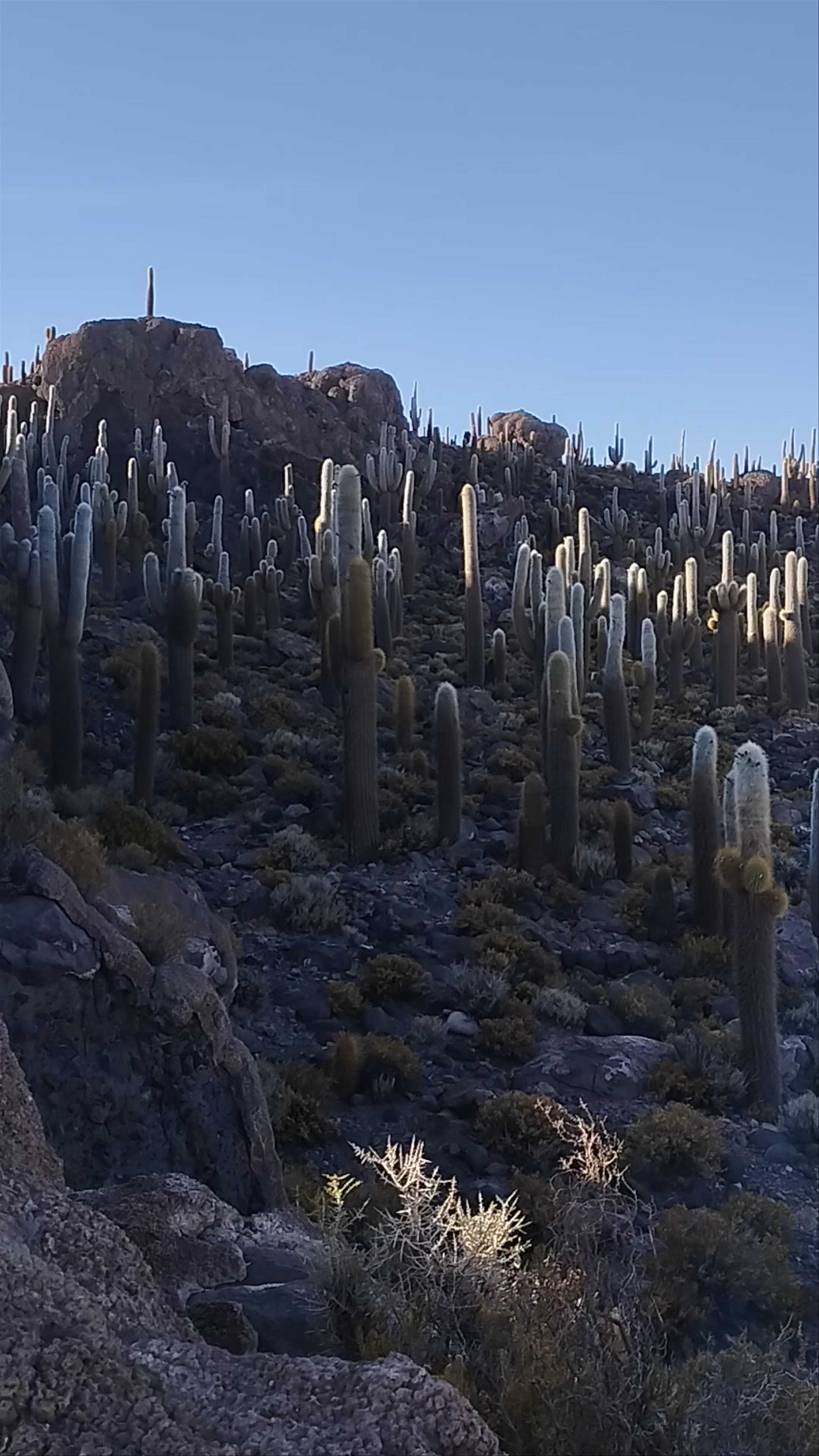 Isla Incahuasi