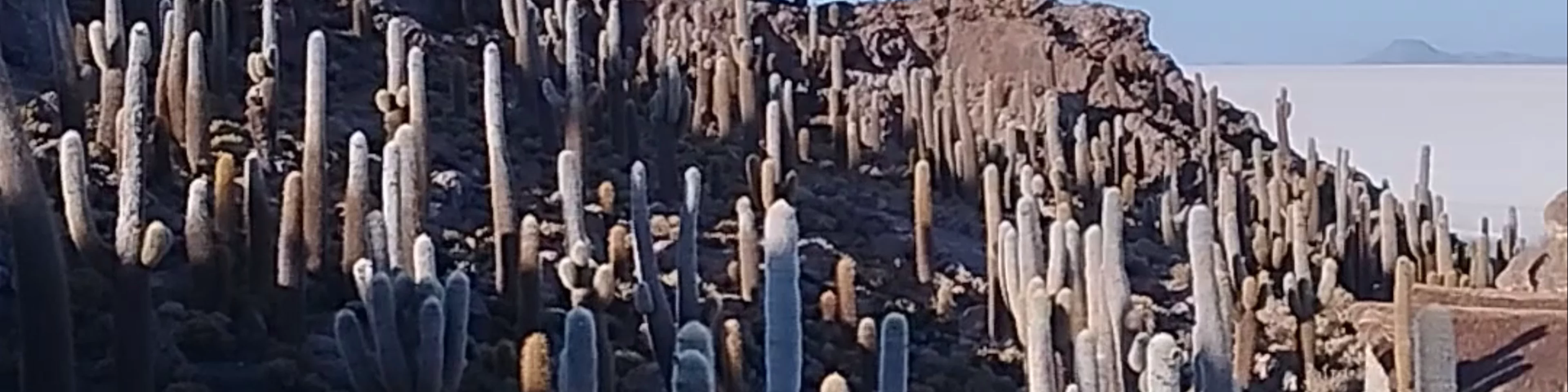 Isla Incahuasi