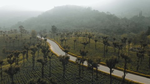 KTM × xBhp — Teaser