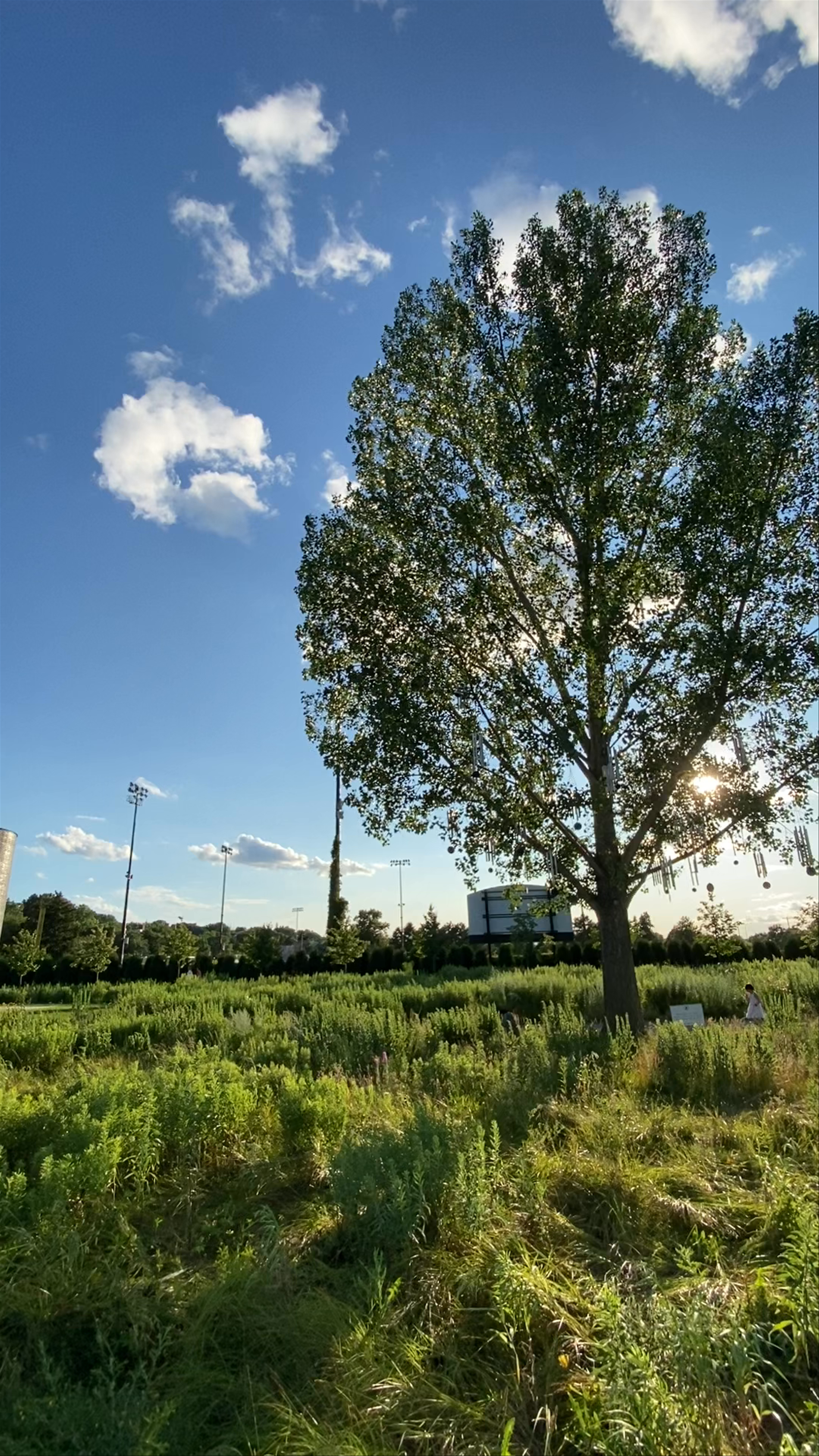 Minneapolis Sculpture Garden