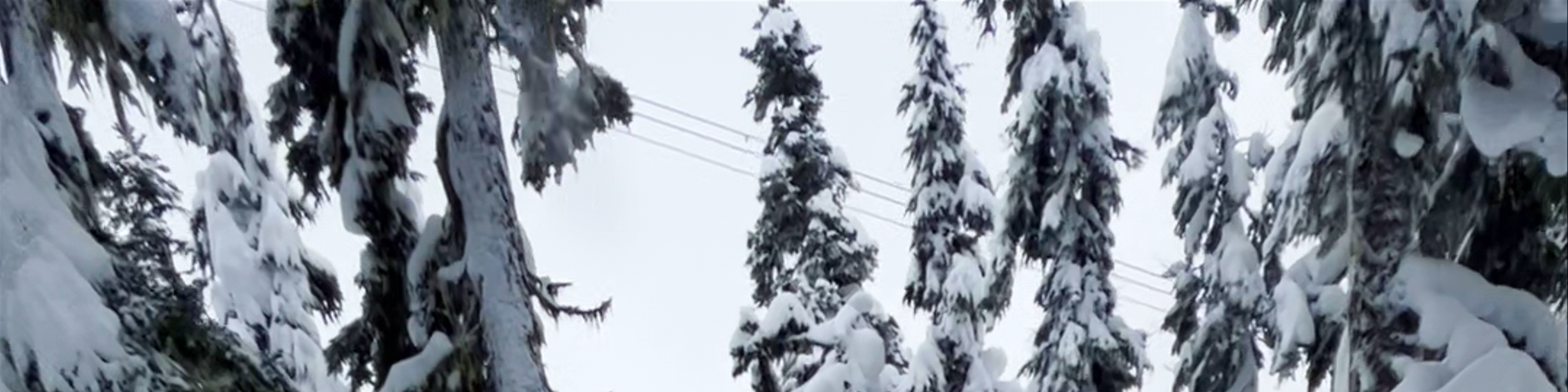 Whistler