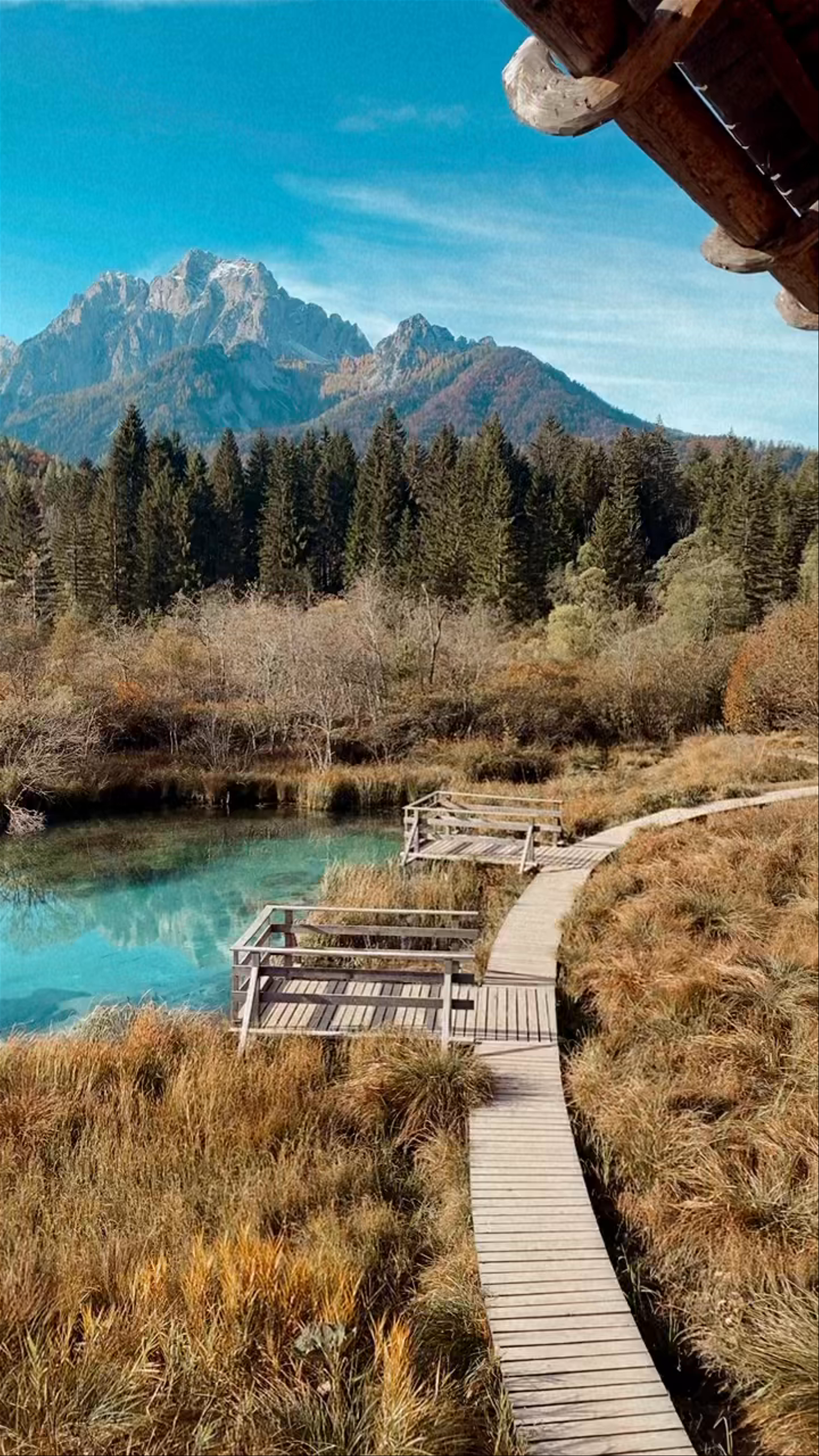 Zelenci Nature Reserve: Crystal Clear Springs and Alpine Serenity