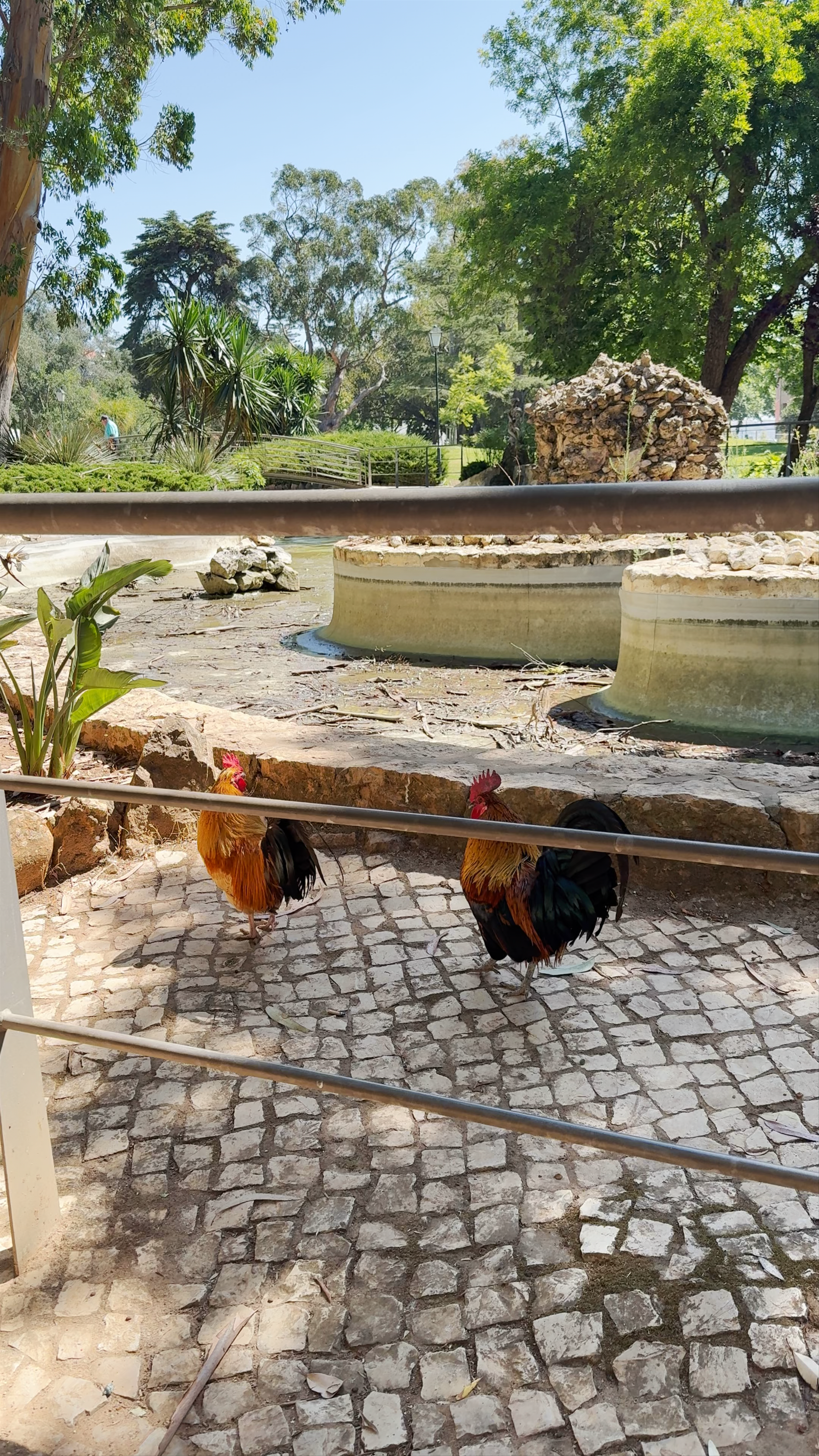 Parque Marechal Carmona