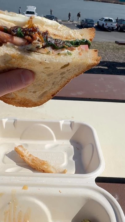 Honeycomb Cafe - One of the best sandwiches I've ever had - Coffee & Tea Near Me - Scarborough, Maine