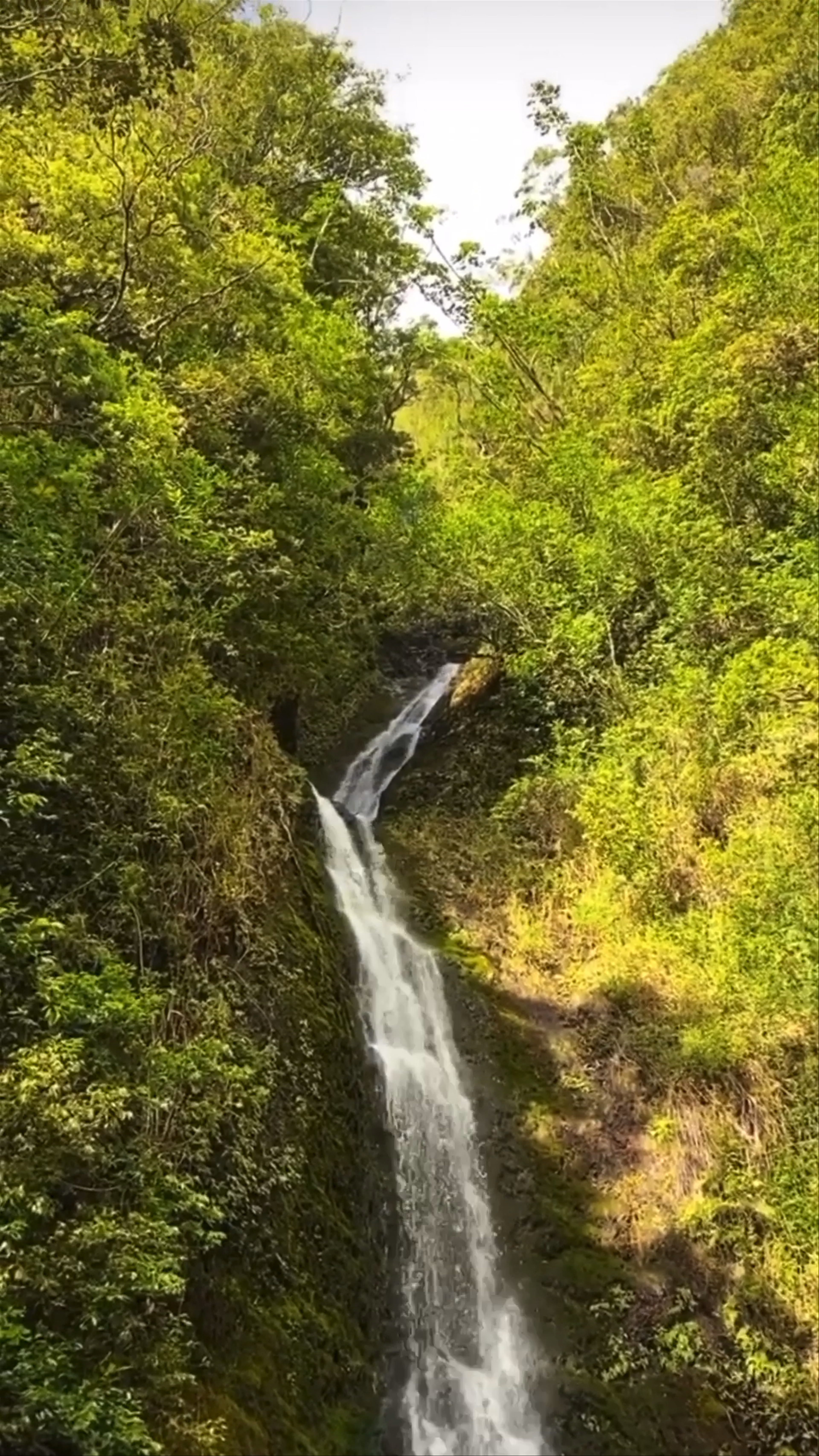 Waimoku Falls
