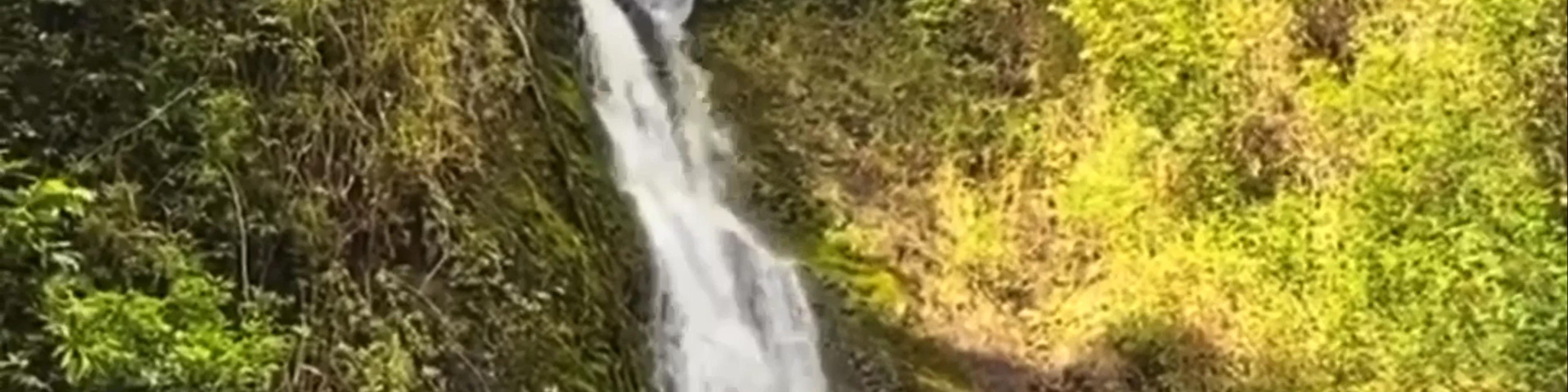 Waimoku Falls