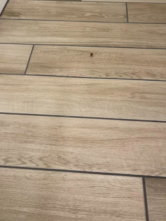 Hampton Inn Patterson - A cockroach on the first night in the restroom. - Hotels Near Me - Patterson, California