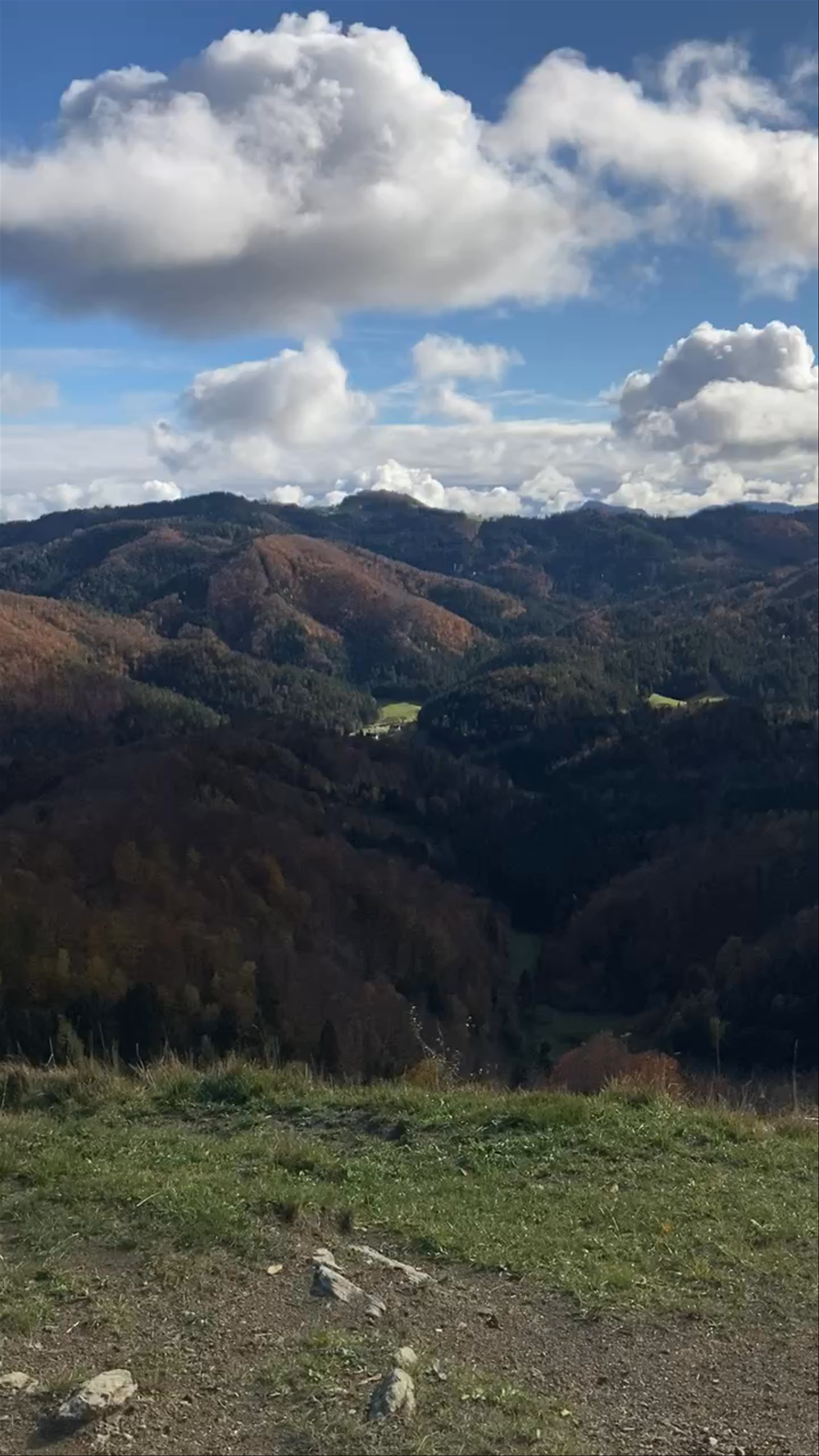The Church of St. Primož and Felicijan