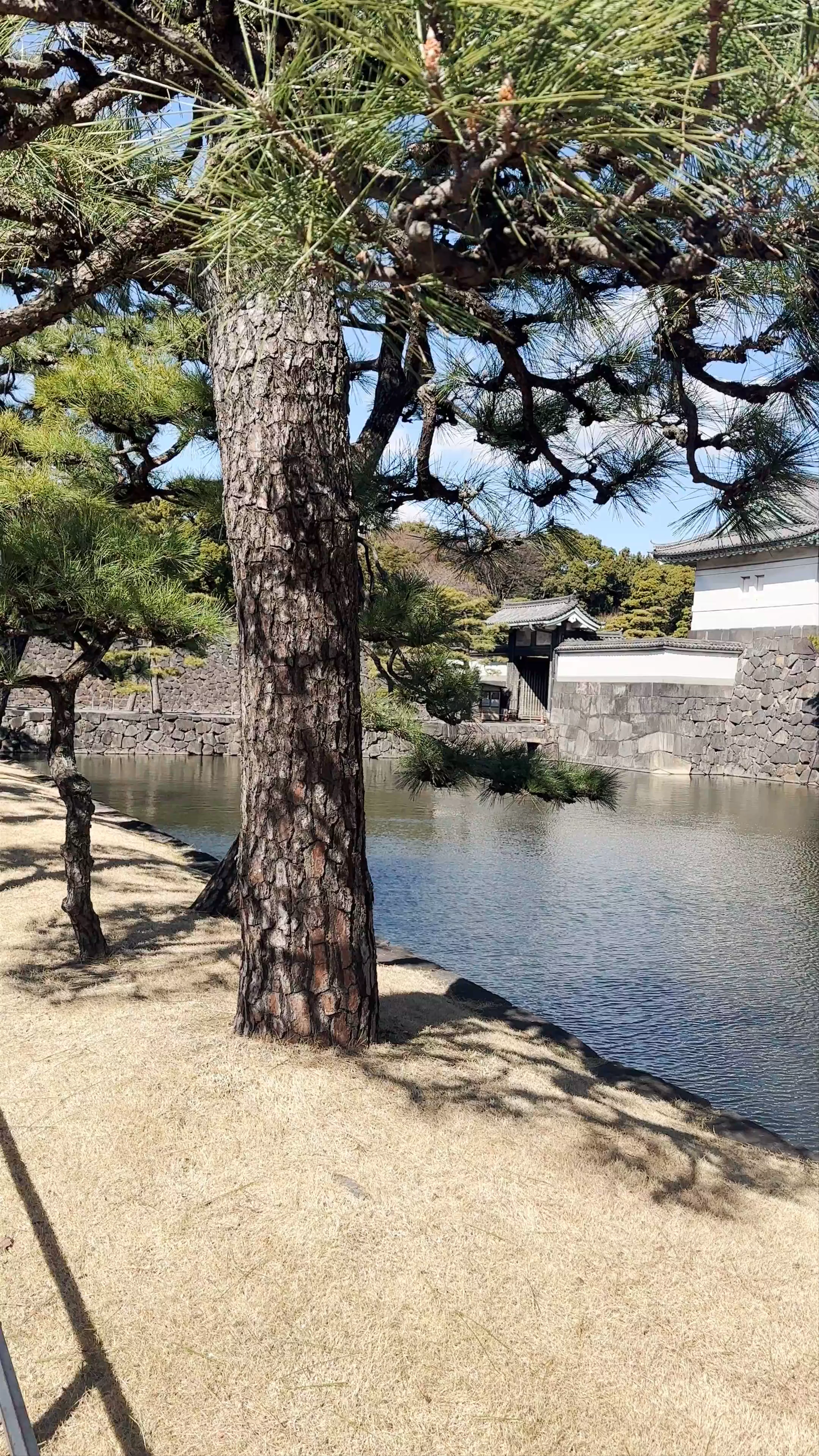 Imperial Palace Front Gardens