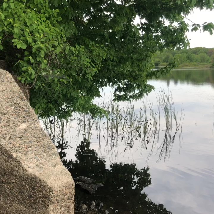 Cutler Park - The Charles - Parks Near Me - Needham, Massachusetts