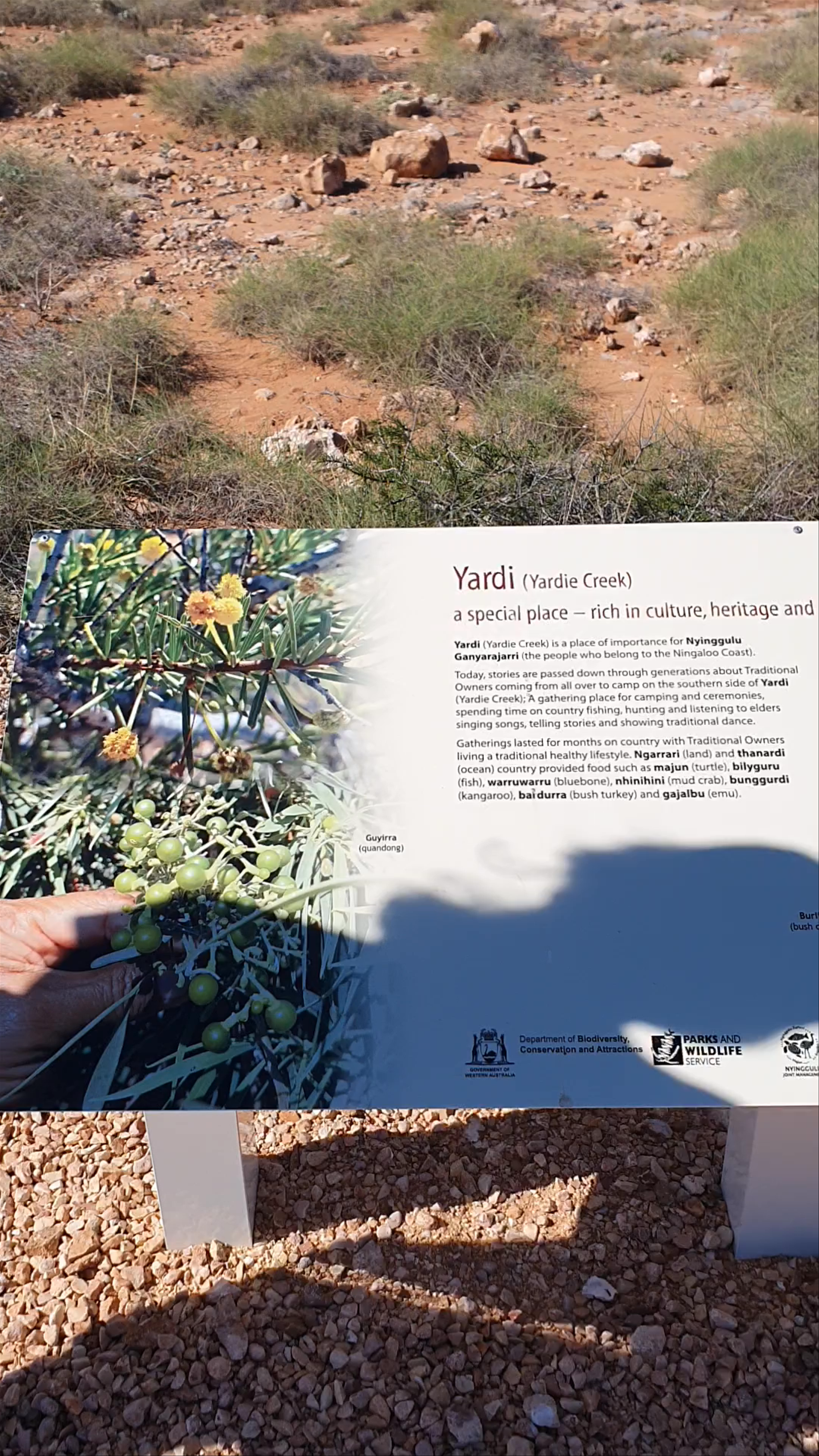 Yardie Creek