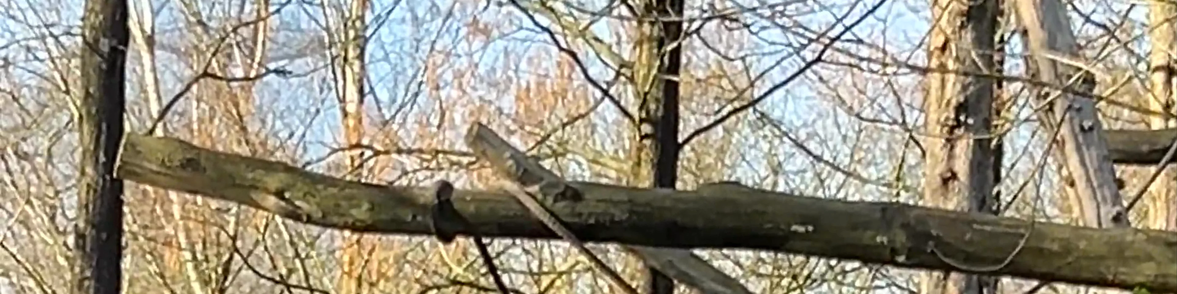 Rotterdam Zoo