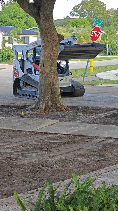 Jeny Sod Services - Nurseries & Gardening Near Me - Miami, Florida
