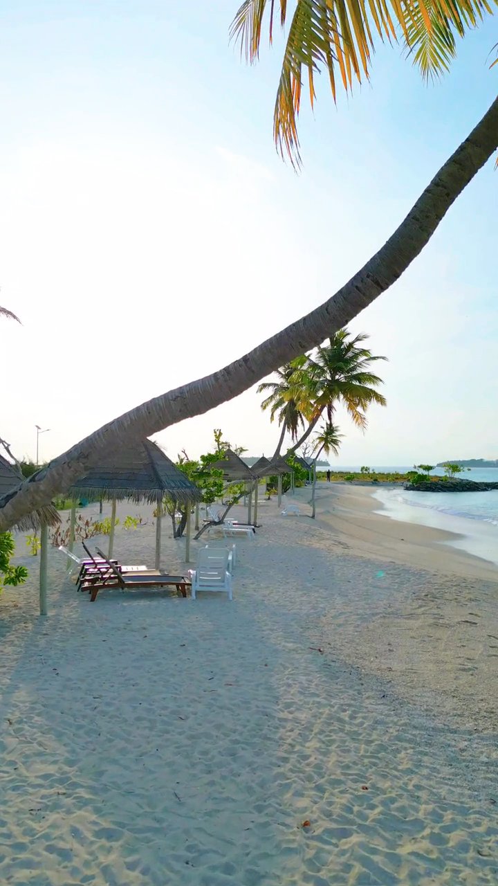 paradise found
📍 Seychelles
🎥 Zihat  Bepari · Pexels
#travel #beach #island #paradise #wanderlust