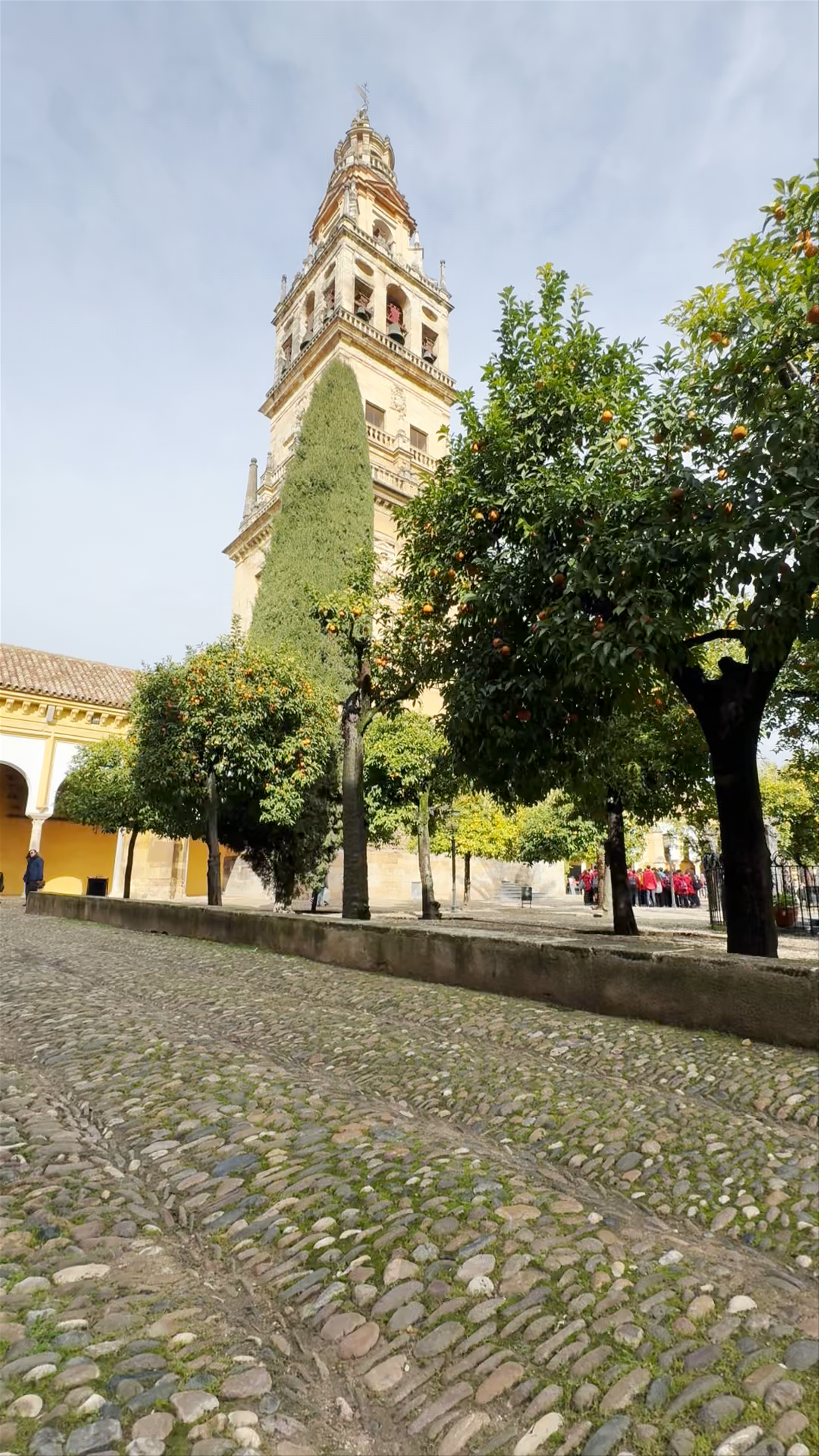 Patio de los Naranjos