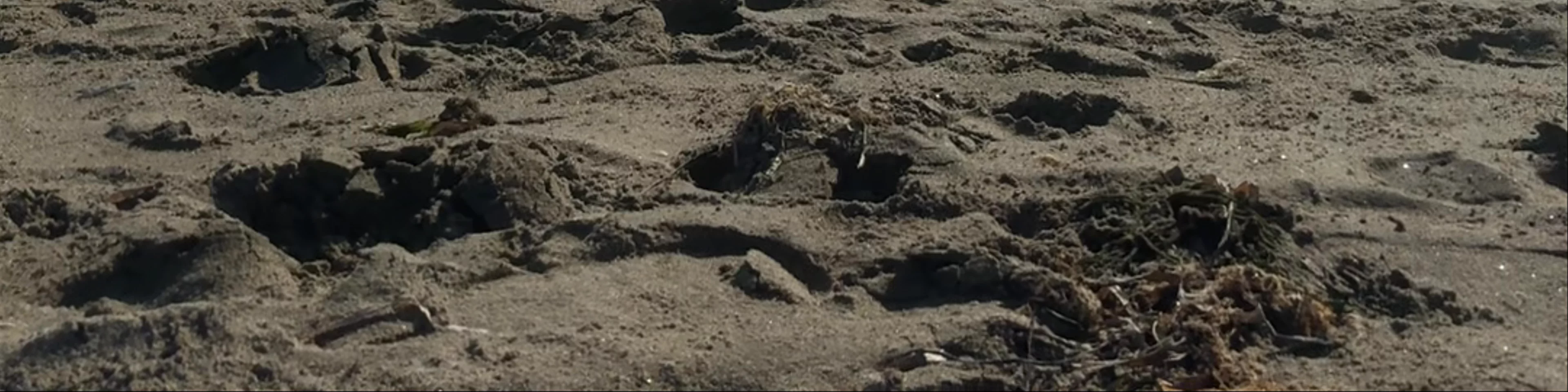 Foce del Rio Tre Denari - Spiaggia della Dolce Vita