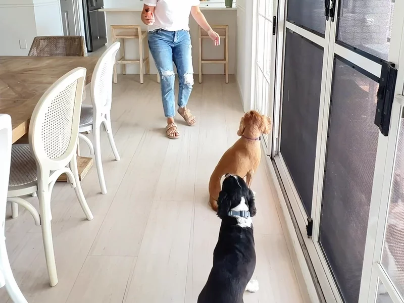 BarkShield