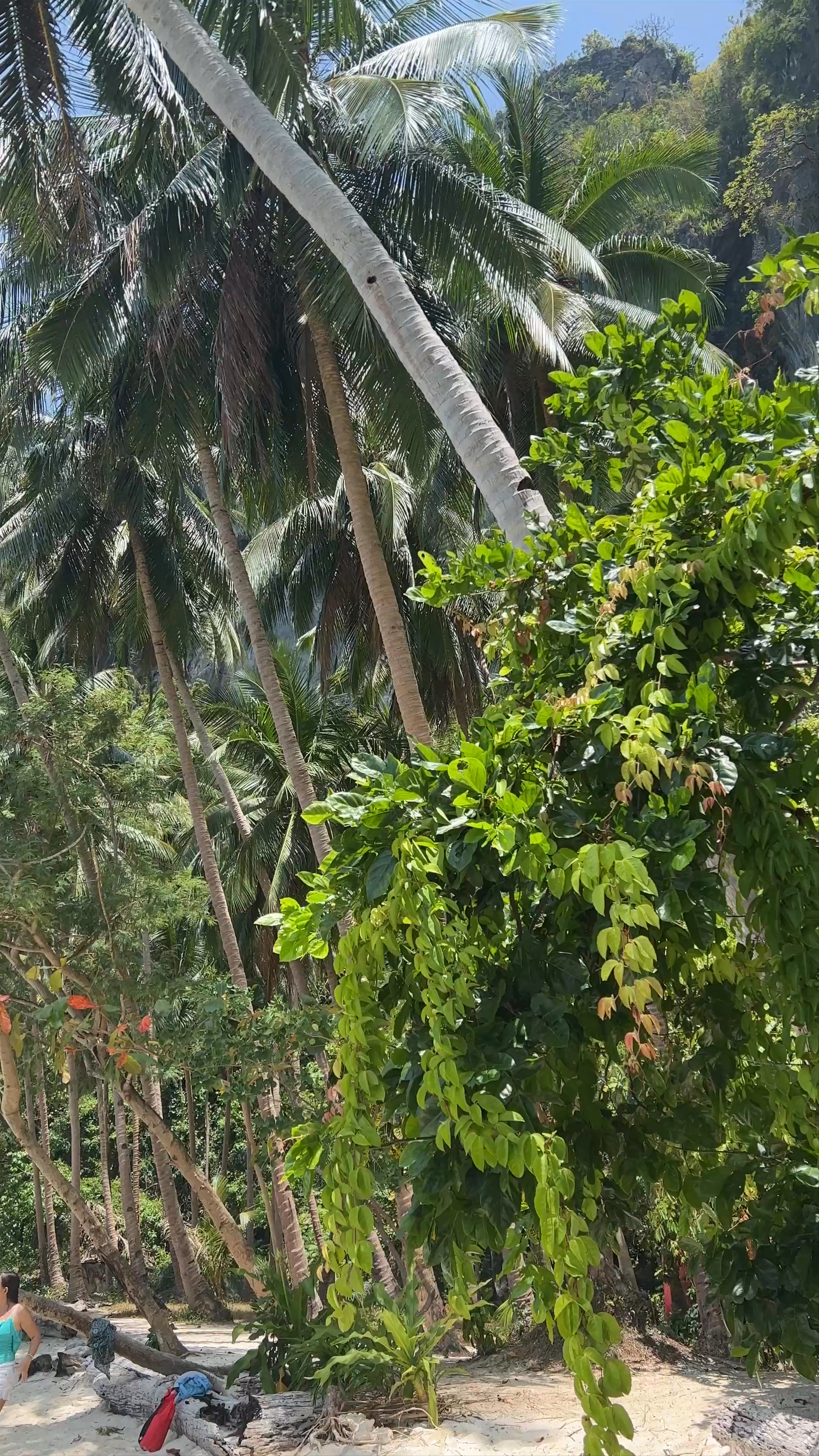 Seven Commandos Beach: Tropical Bliss in Palawan, Philippines