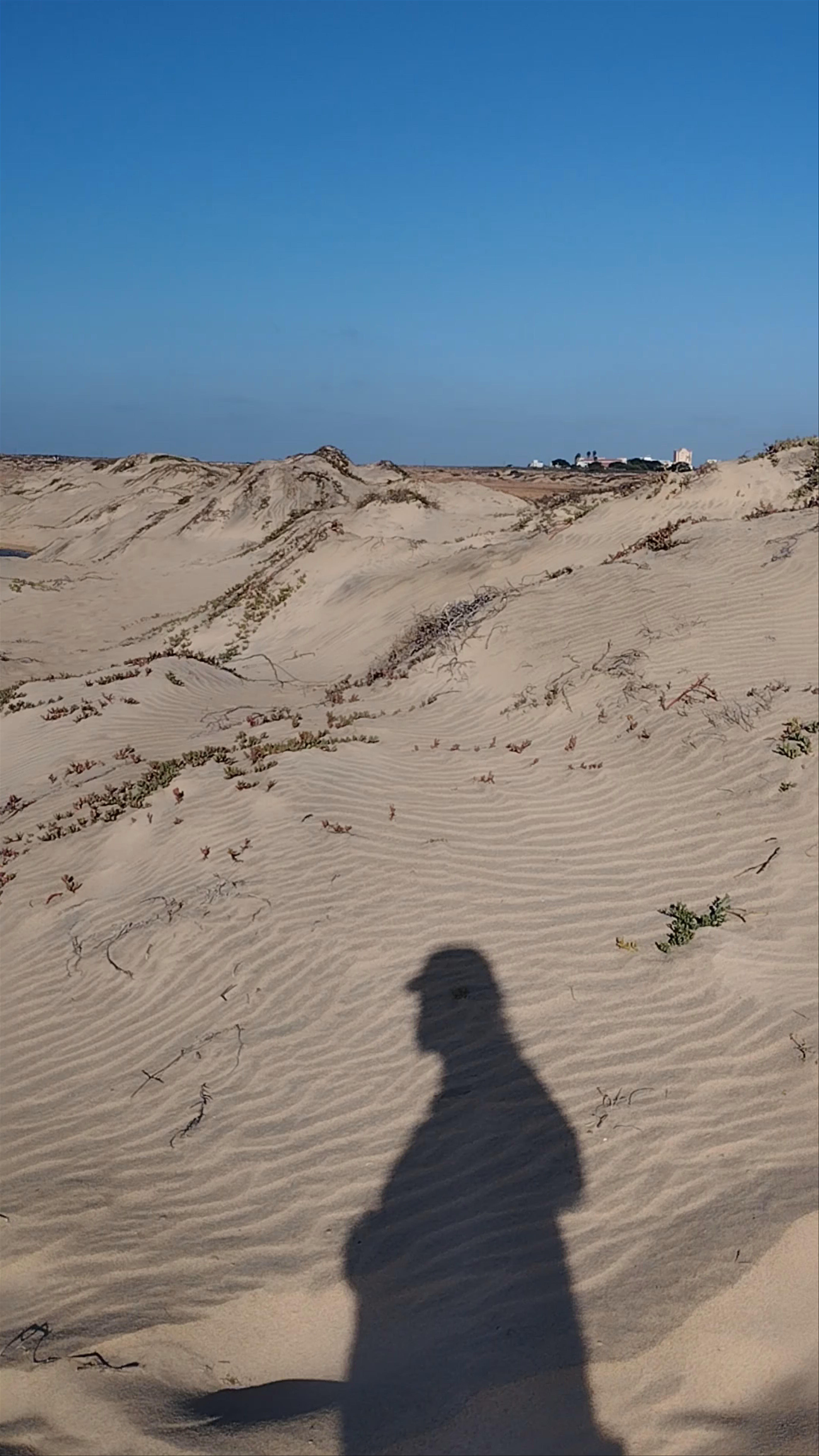 Dune of Sal