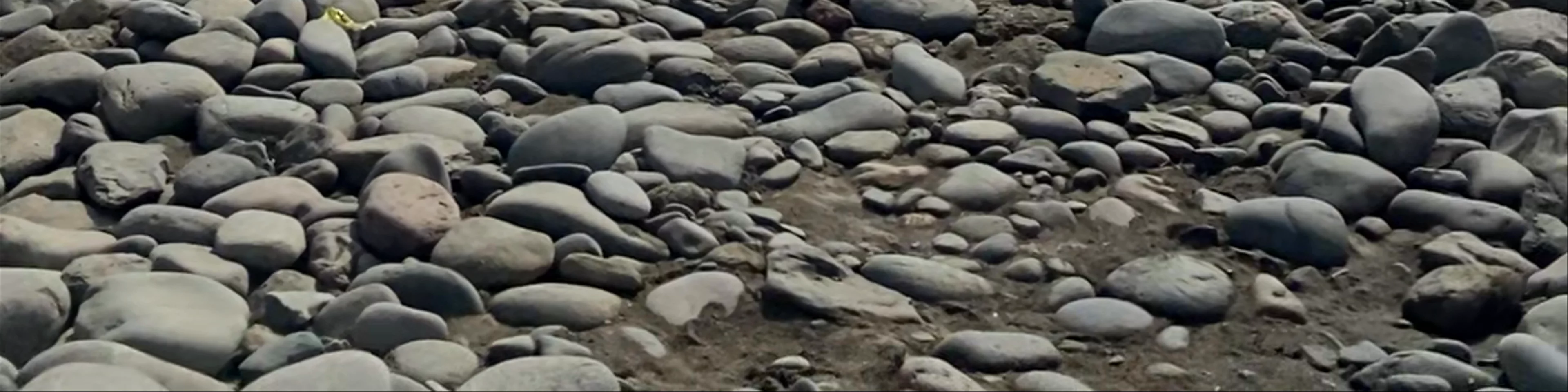 Playa del Águila