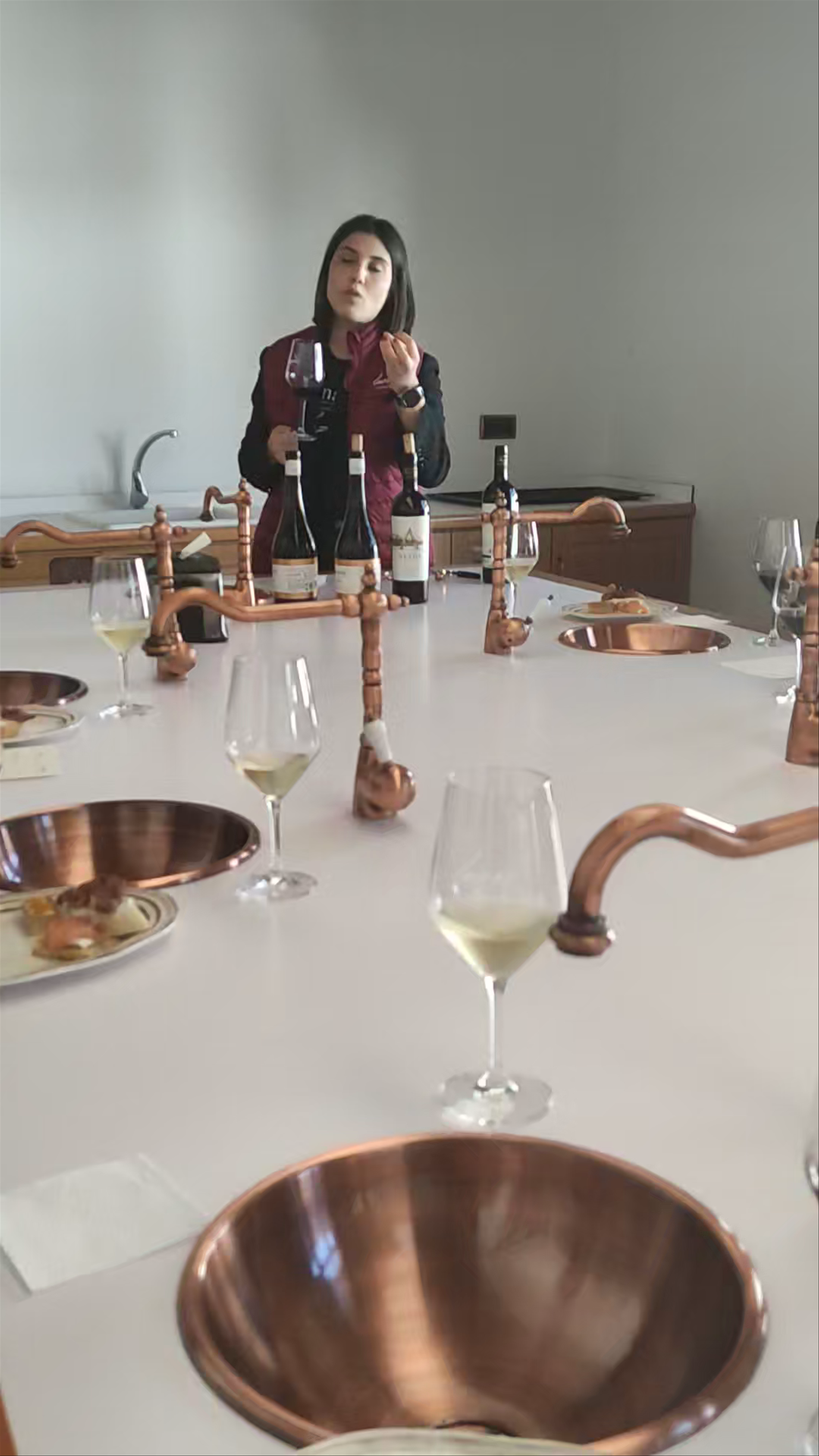 Wine Tasting Experience at Bodegas Luzón in Jumilla, Spain