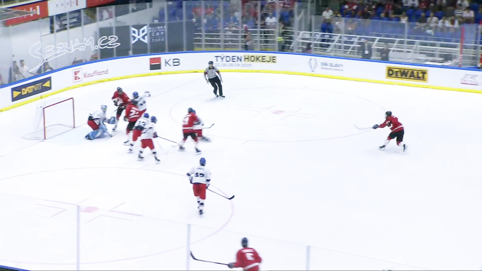 Frantisek Poletin Highlight-Reel