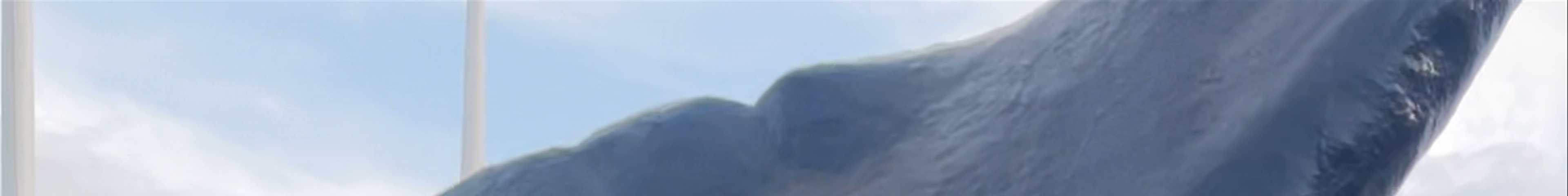 Tours & experiences in Norðurland eystra