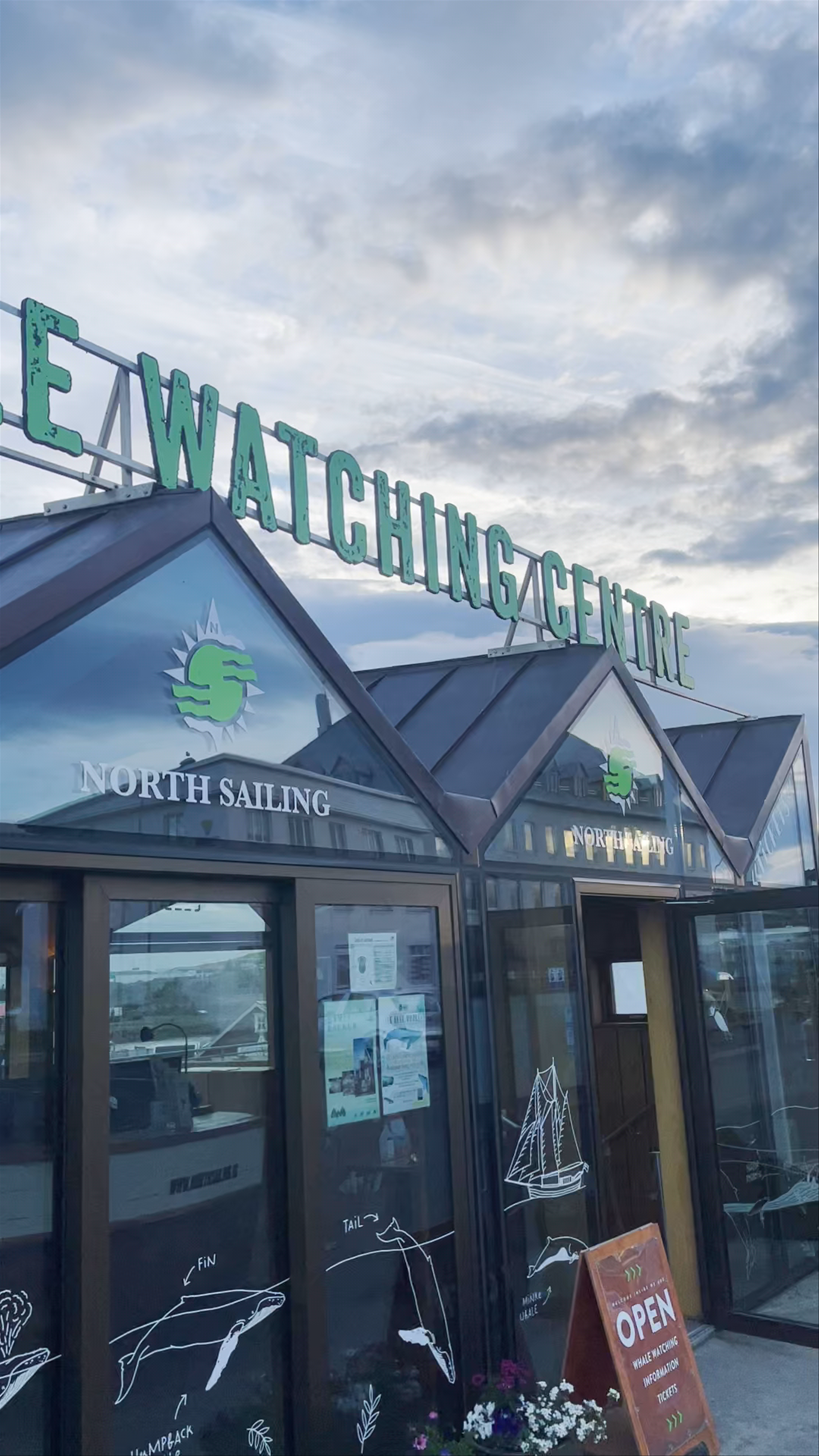 North Sailing-Whale Watching