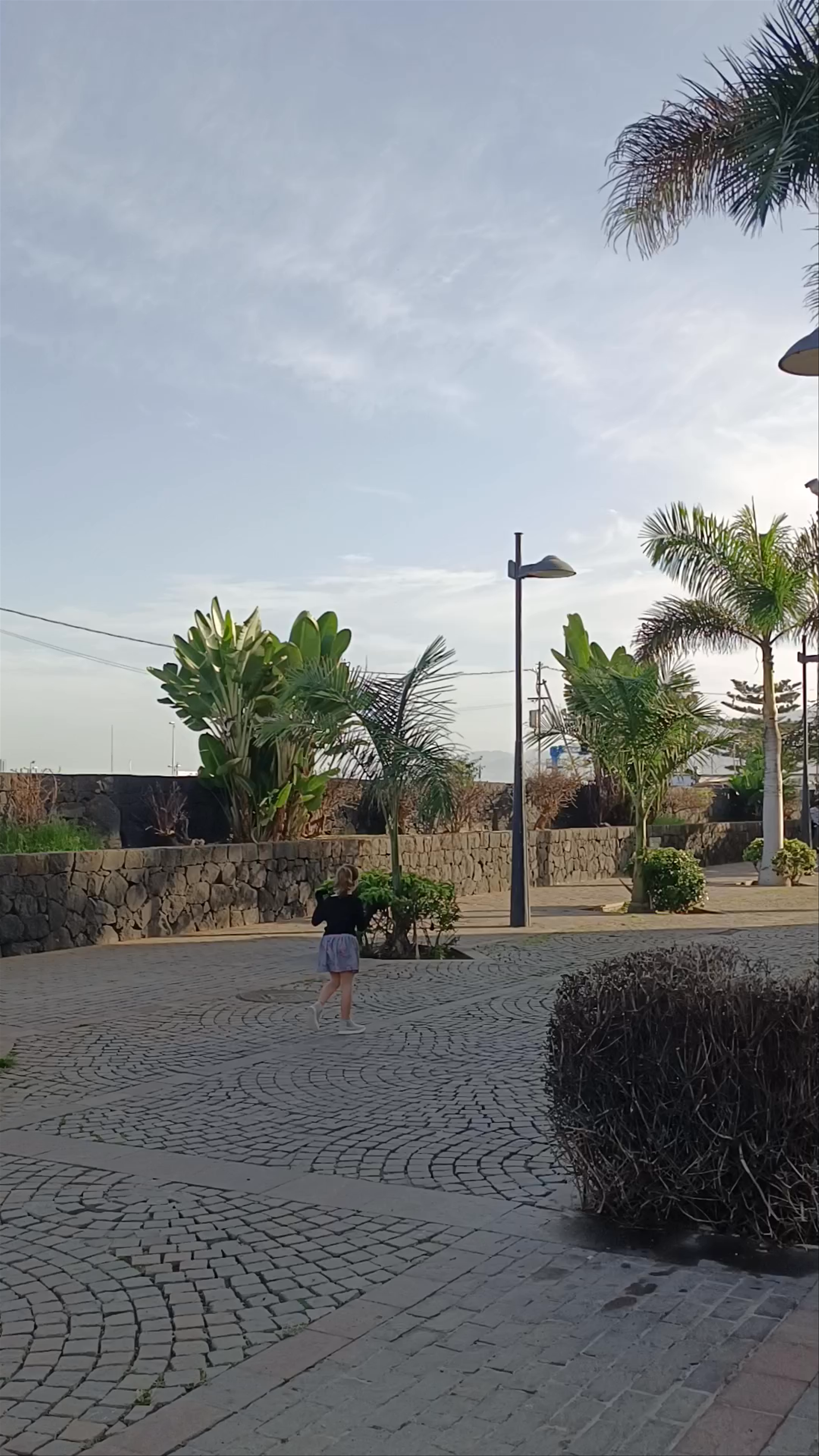 Colorful Street Art and Tranquil Walk in Barrio La Ranilla, Puerto de la Cruz