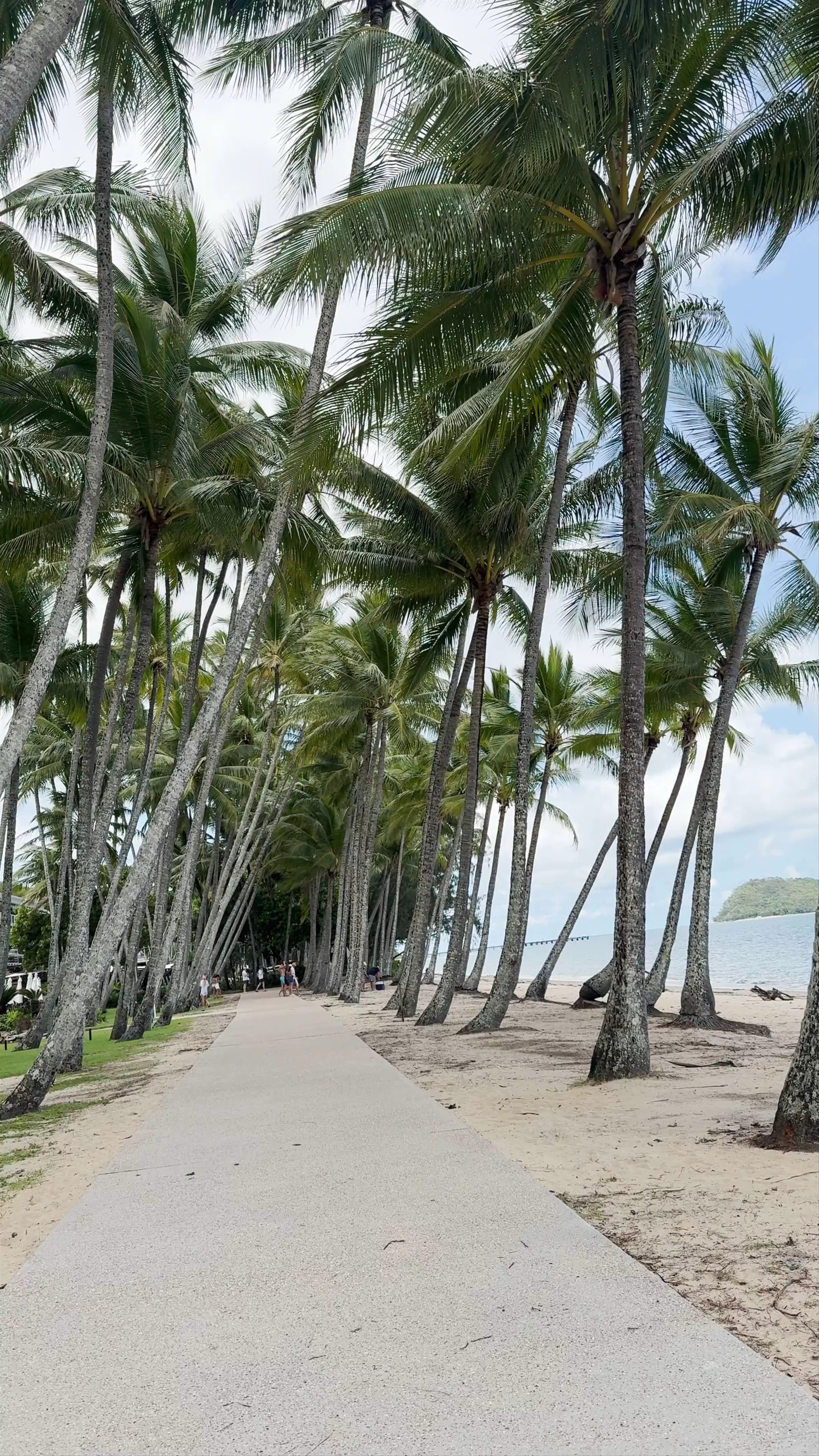 Palm Cove