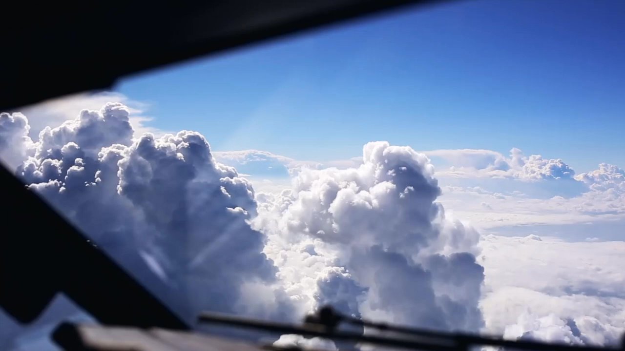 Grace - Fly right... - Medical Cannabis Referrals Near Me - Los Angeles, California