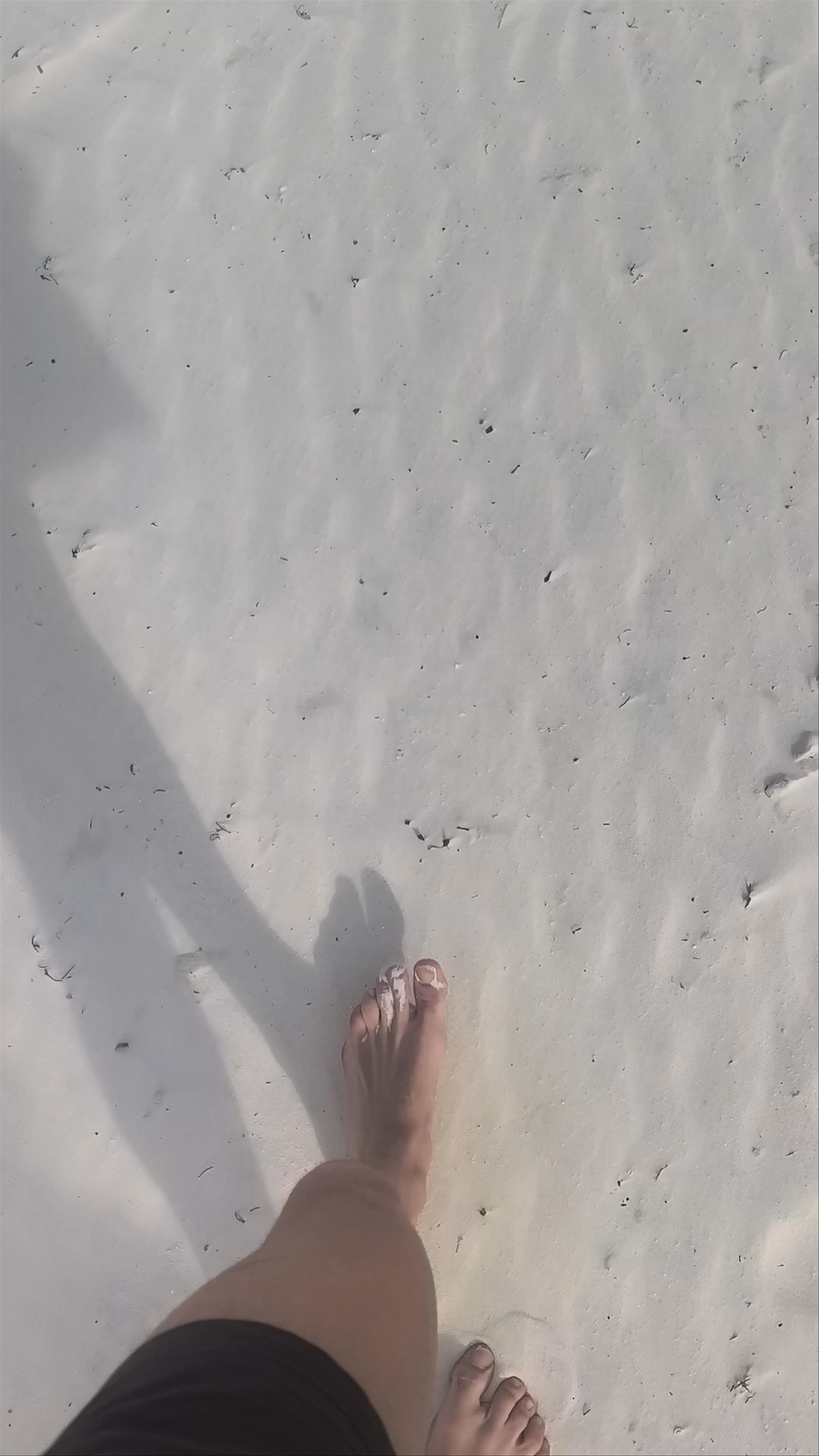Sunlit Serenity at Playa Tortugas, Quintana Roo, Mexico