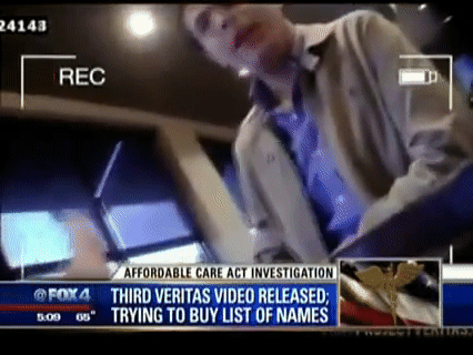 Video Thumbnail Loop