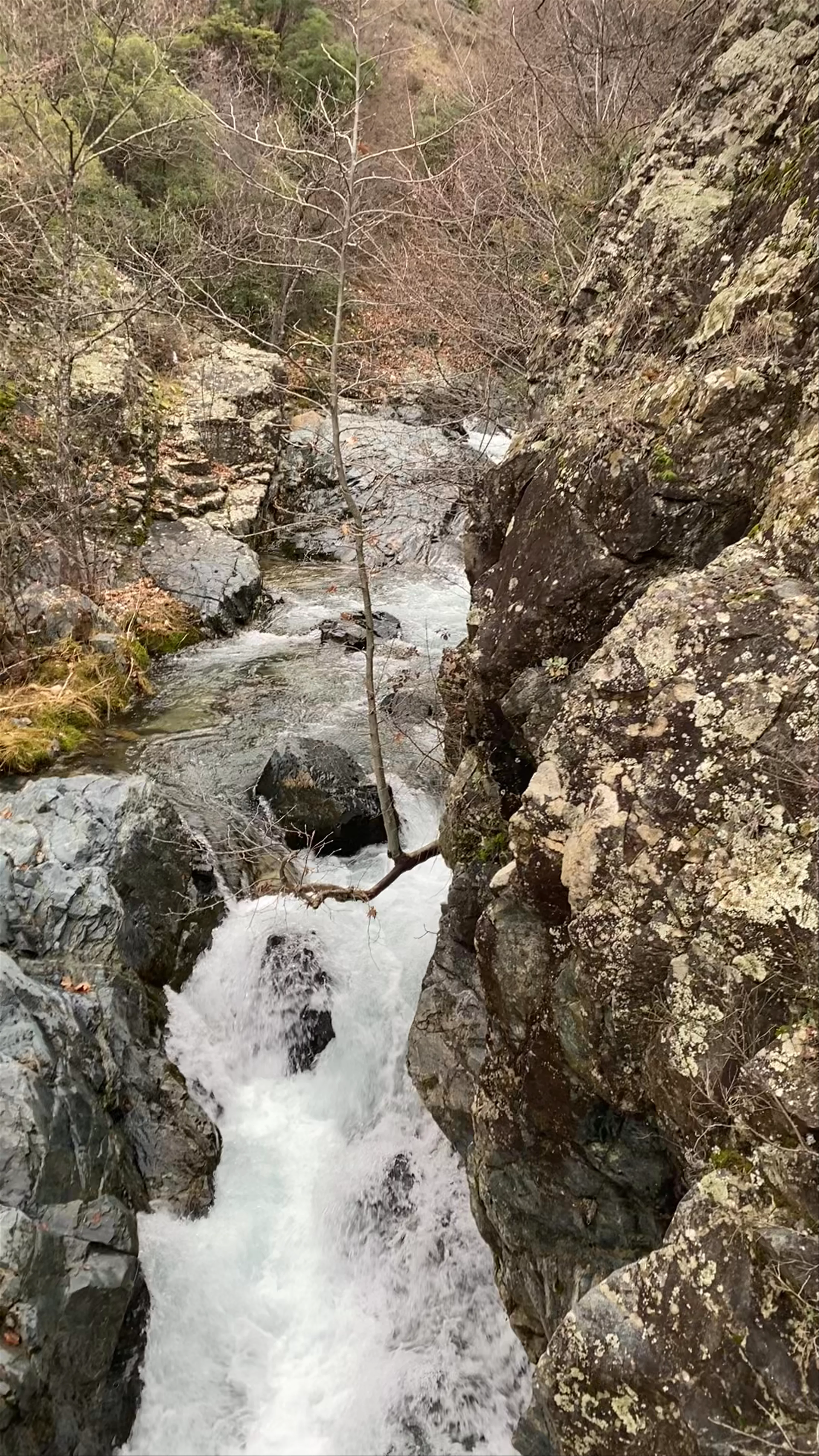 Primatari Trail - Stravopotamos River