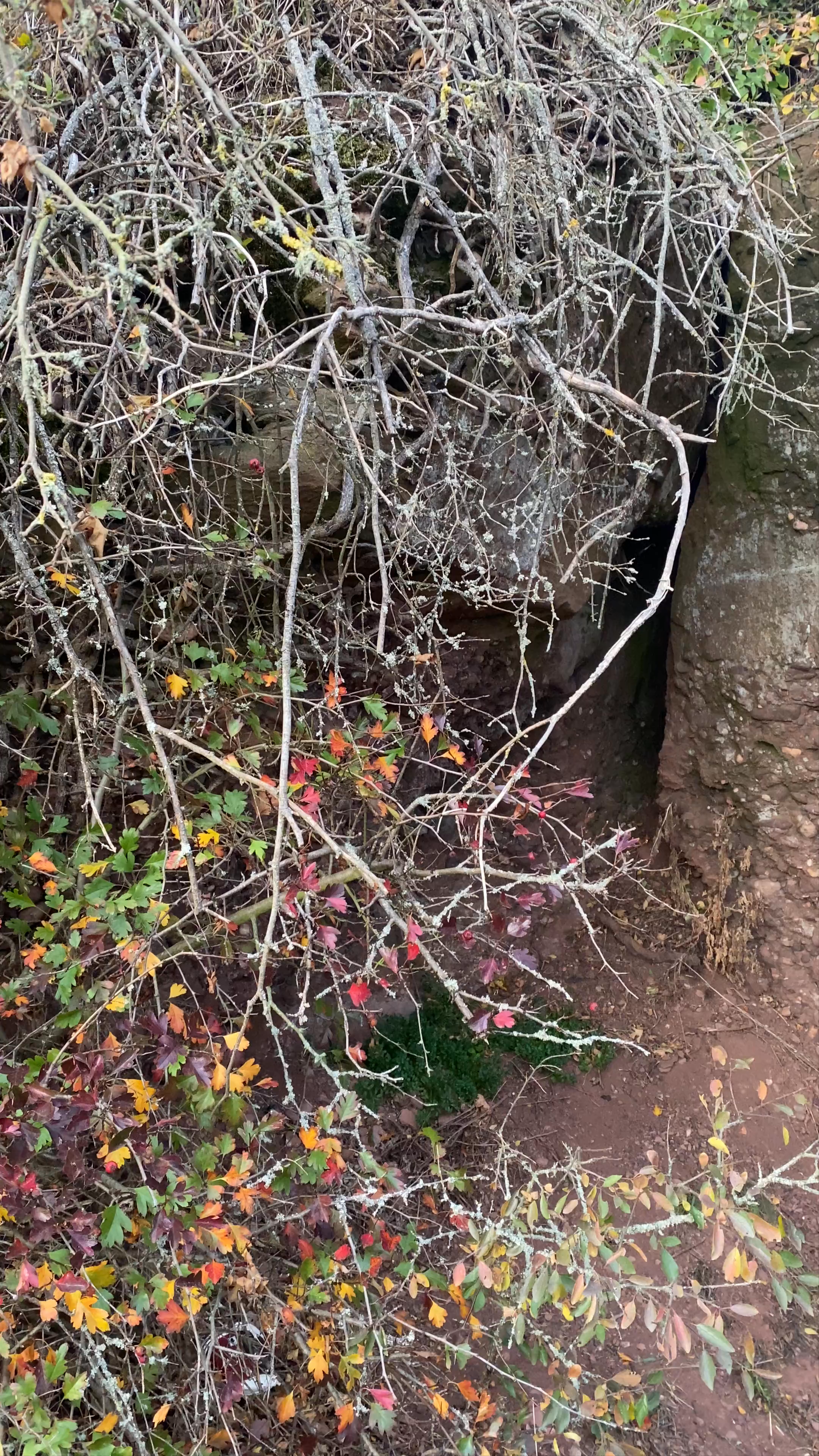 Bank am Gipfelkreuz Viewpoint