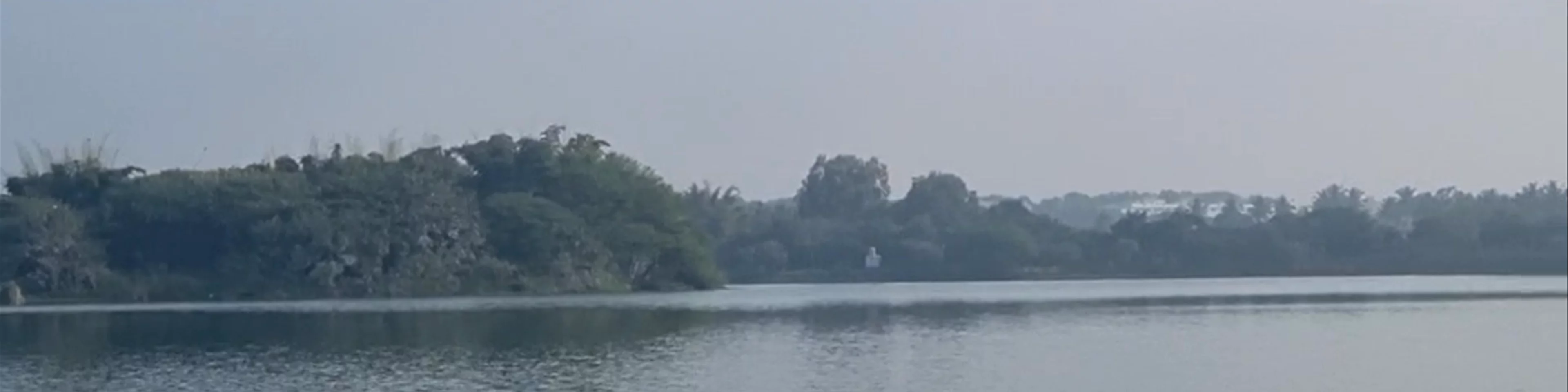 Jakkur Lake