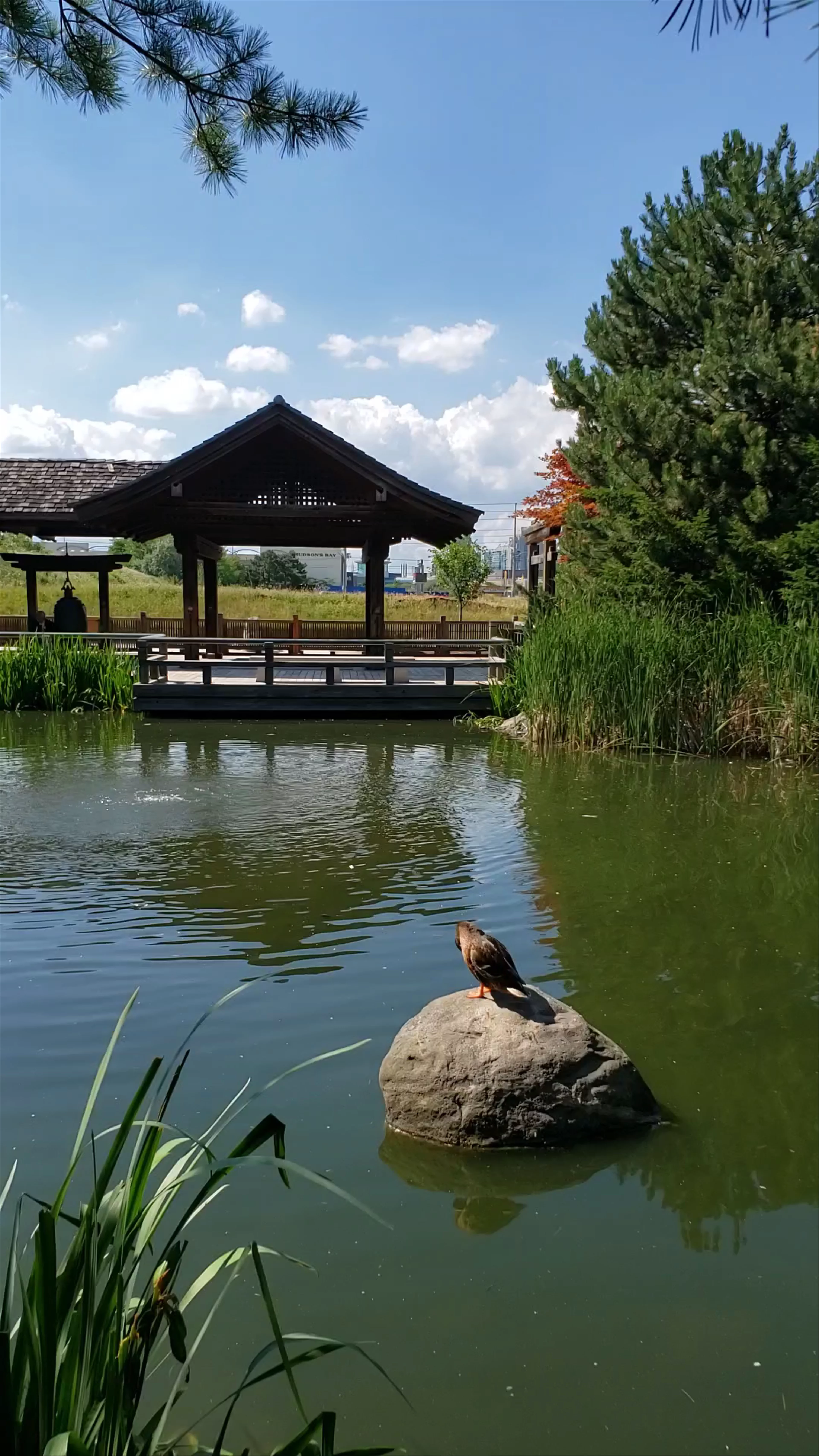 Kariya Park
