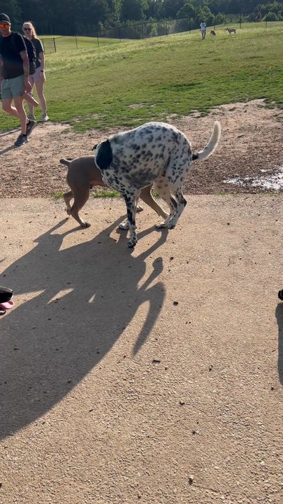 Deer Lick Park - Skate Parks Near Me - Douglasville, Georgia