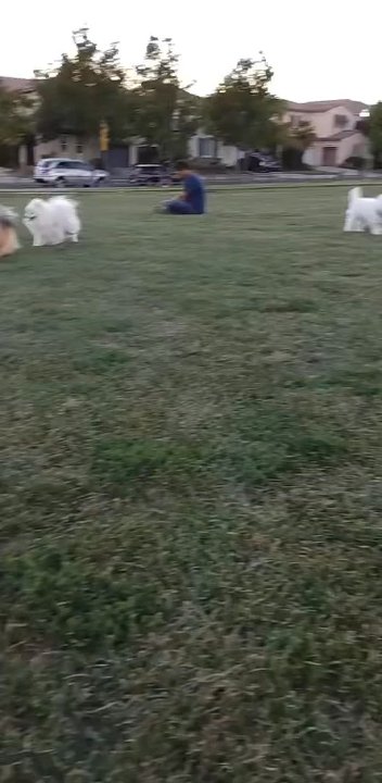 Video thumbnail 2 more videos
