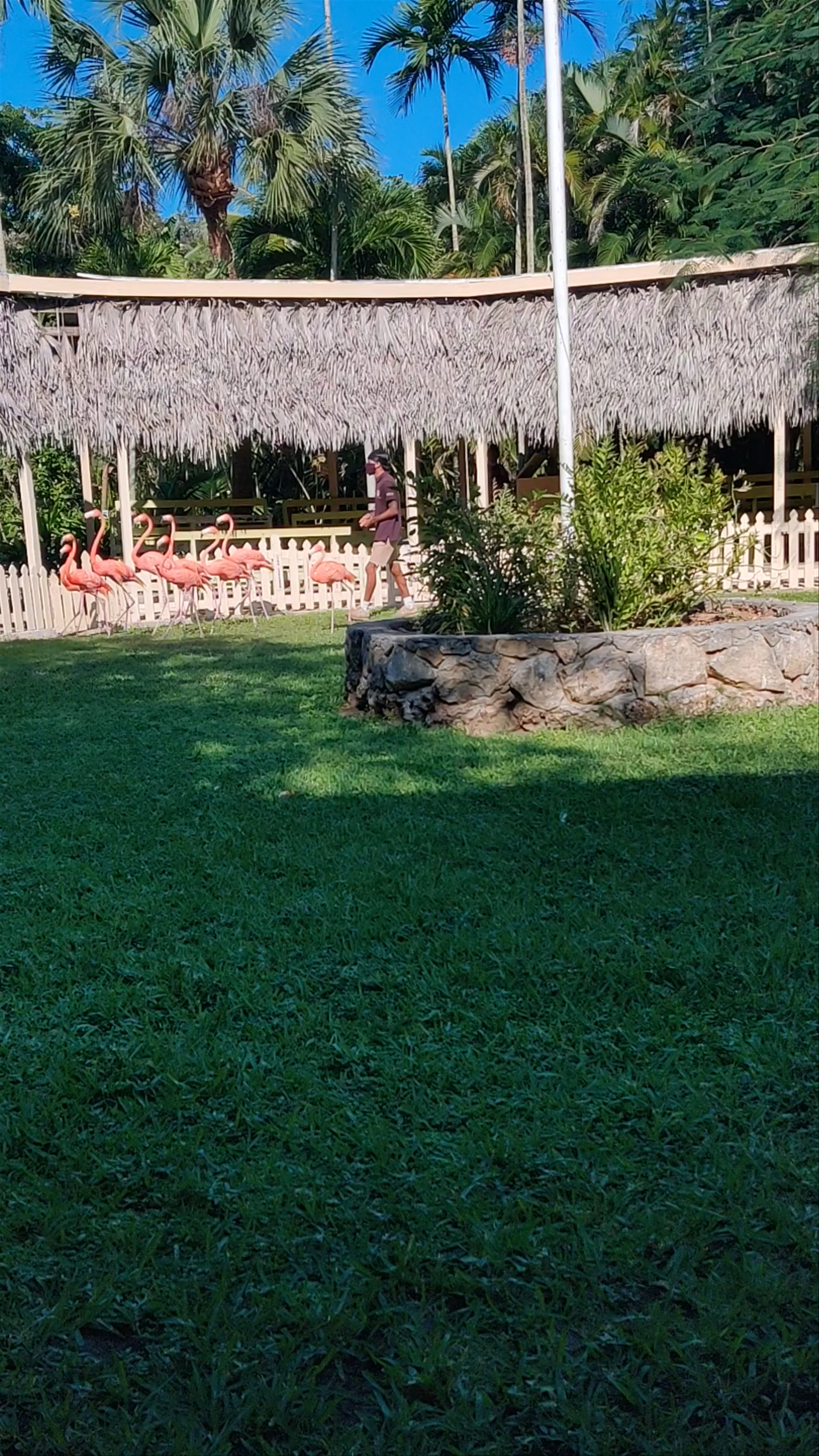 Ardastra Gardens & Wildlife Conservation Centre