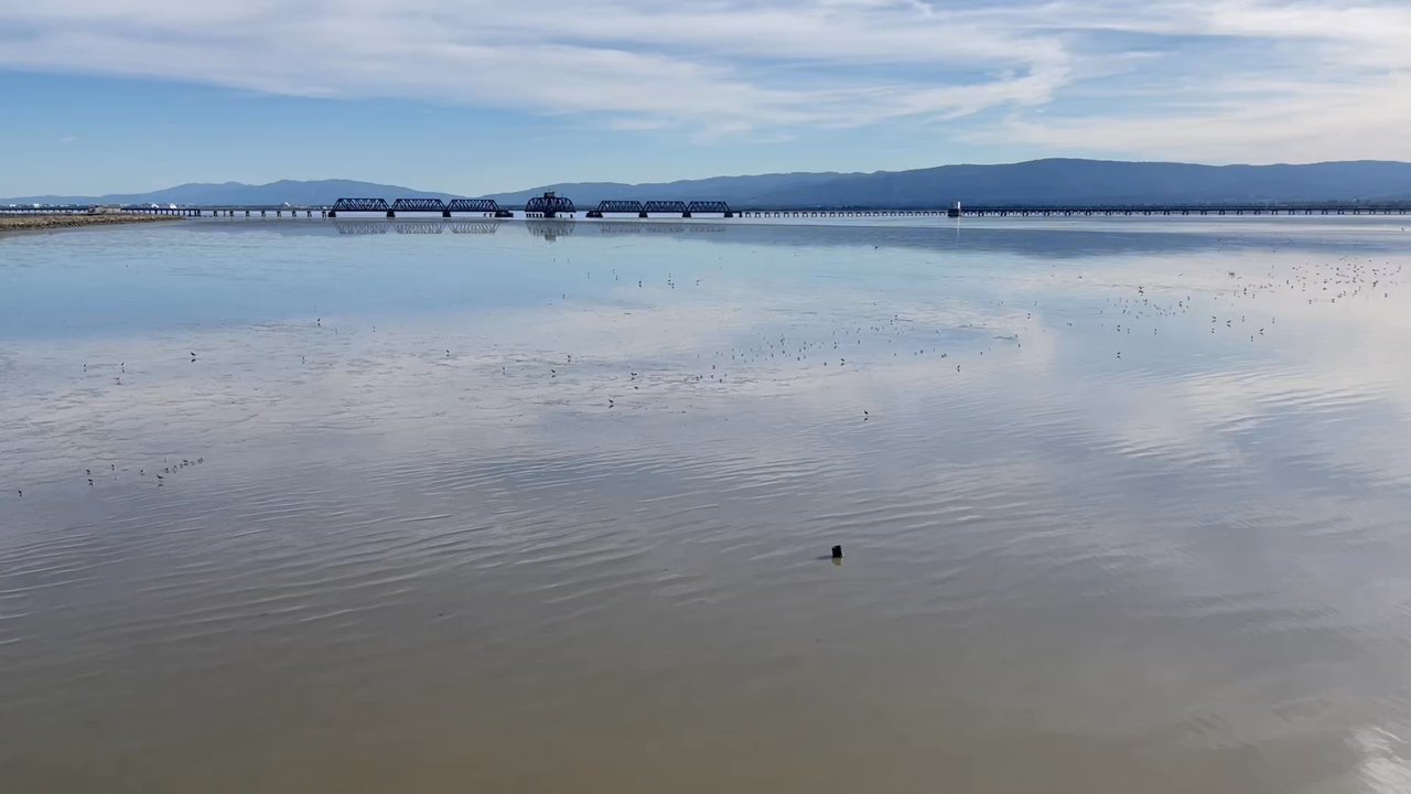 Dumbarton Pier - Parks Near Me - Newark, California