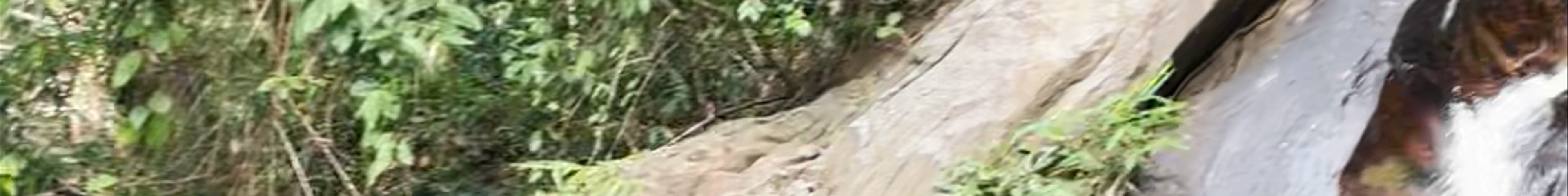 Tours & experiences in Ban Khao Lak