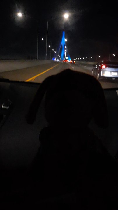 Vincent Thomas Bridge - The bridge at night. 2/7/25 - Landmarks & Historical Buildings Near Me