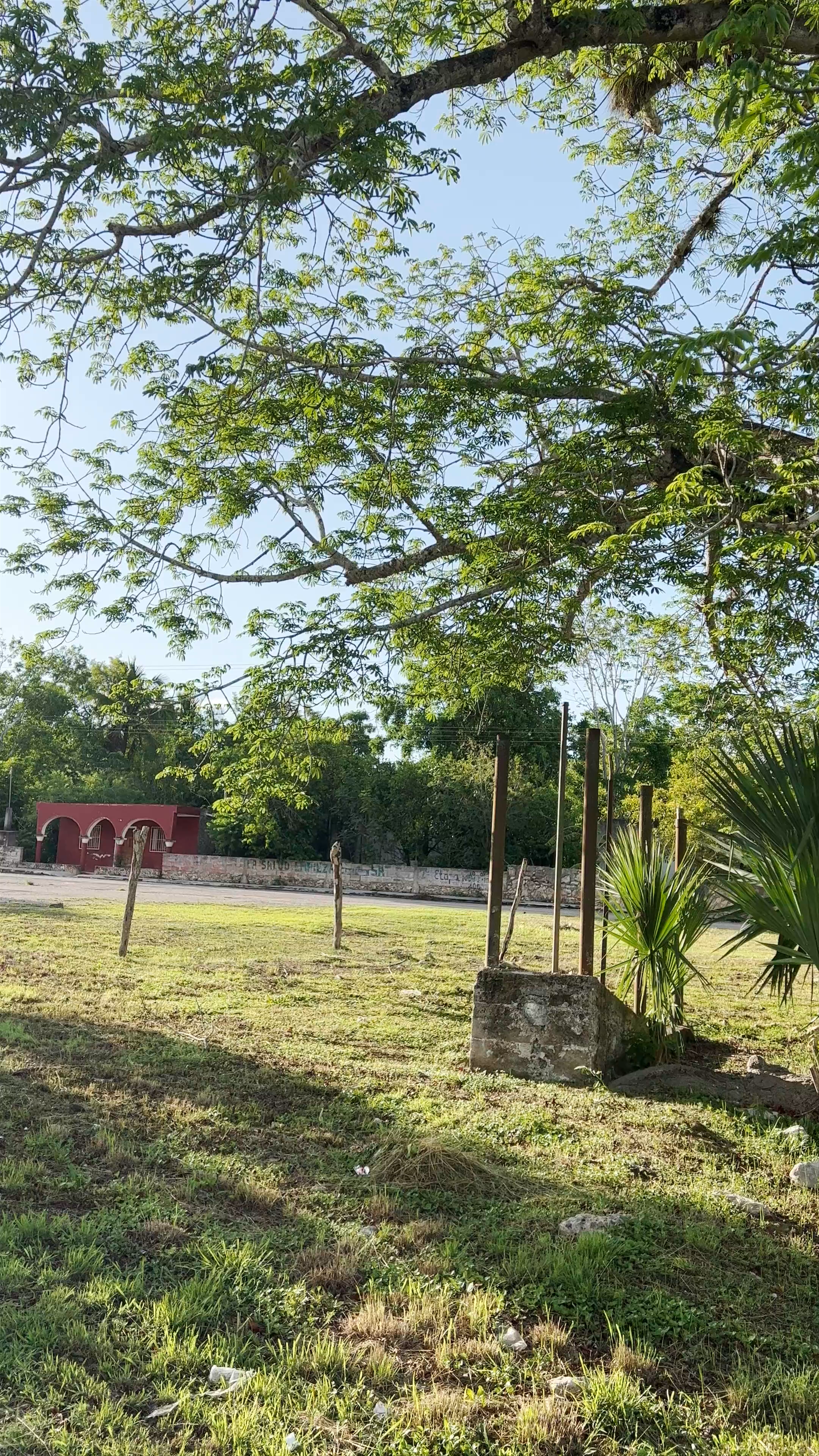 Yalcón Park
