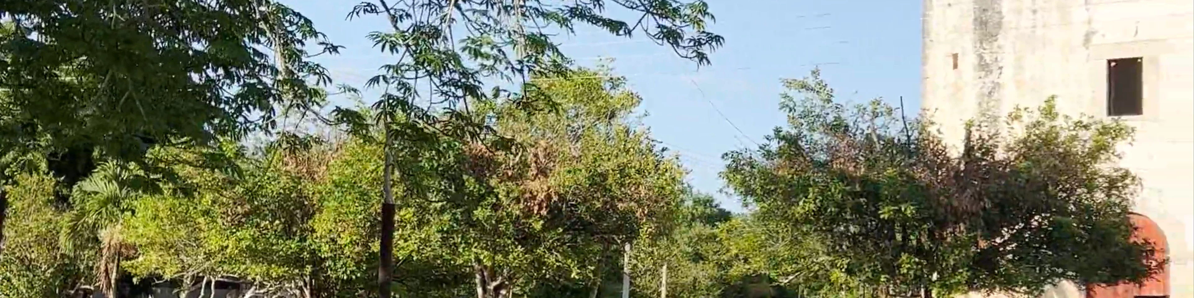 Yalcón Park