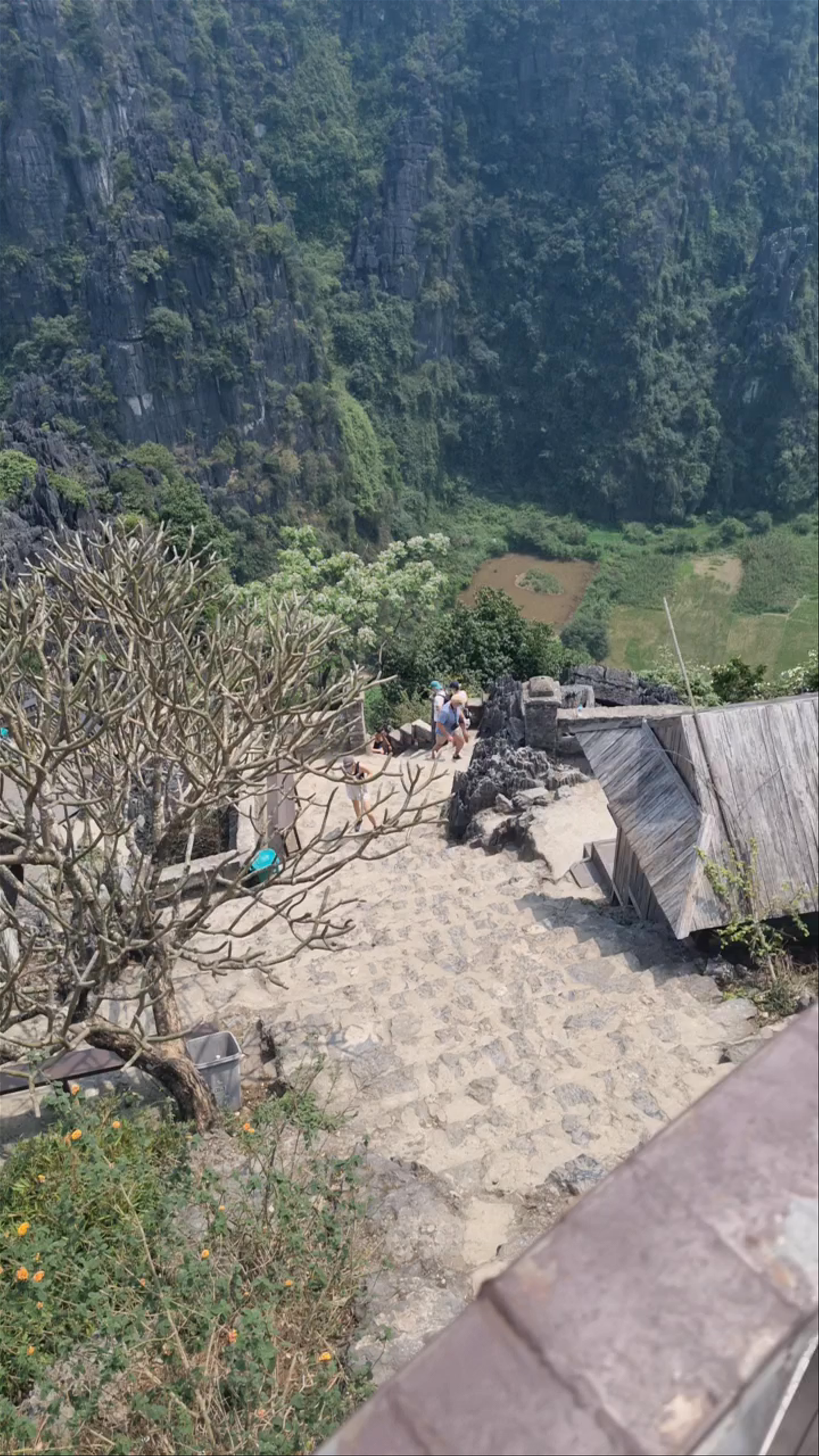 Viewpoint Đầm sen Hang múa