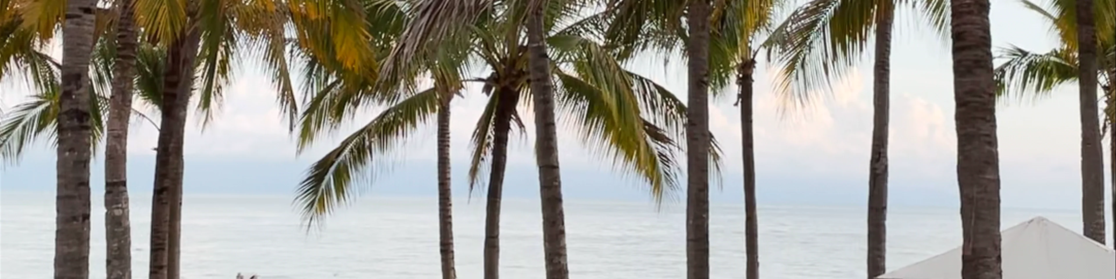 Paseo de los Cocoteros, Bahía de Banderas