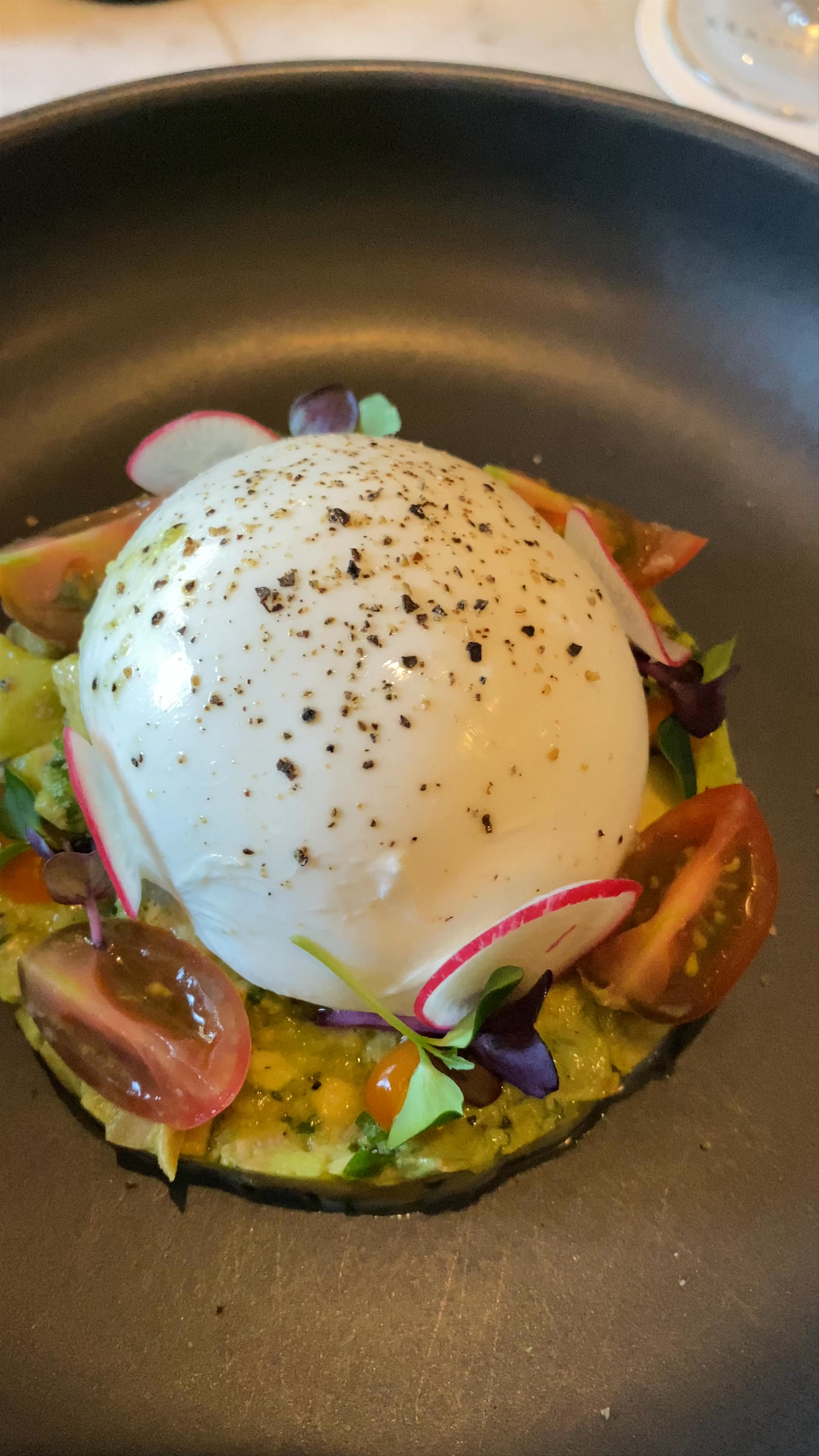 Elegant Burrata Dish at Grand Café Krasnapolsky, Amsterdam