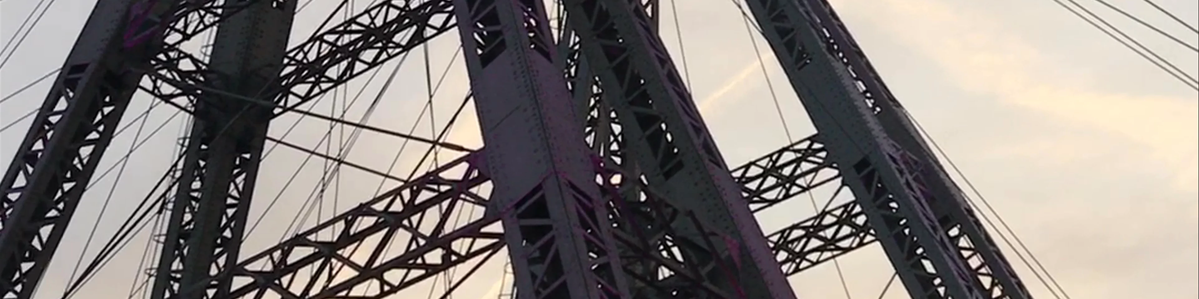 Viennese Giant Ferris Wheel